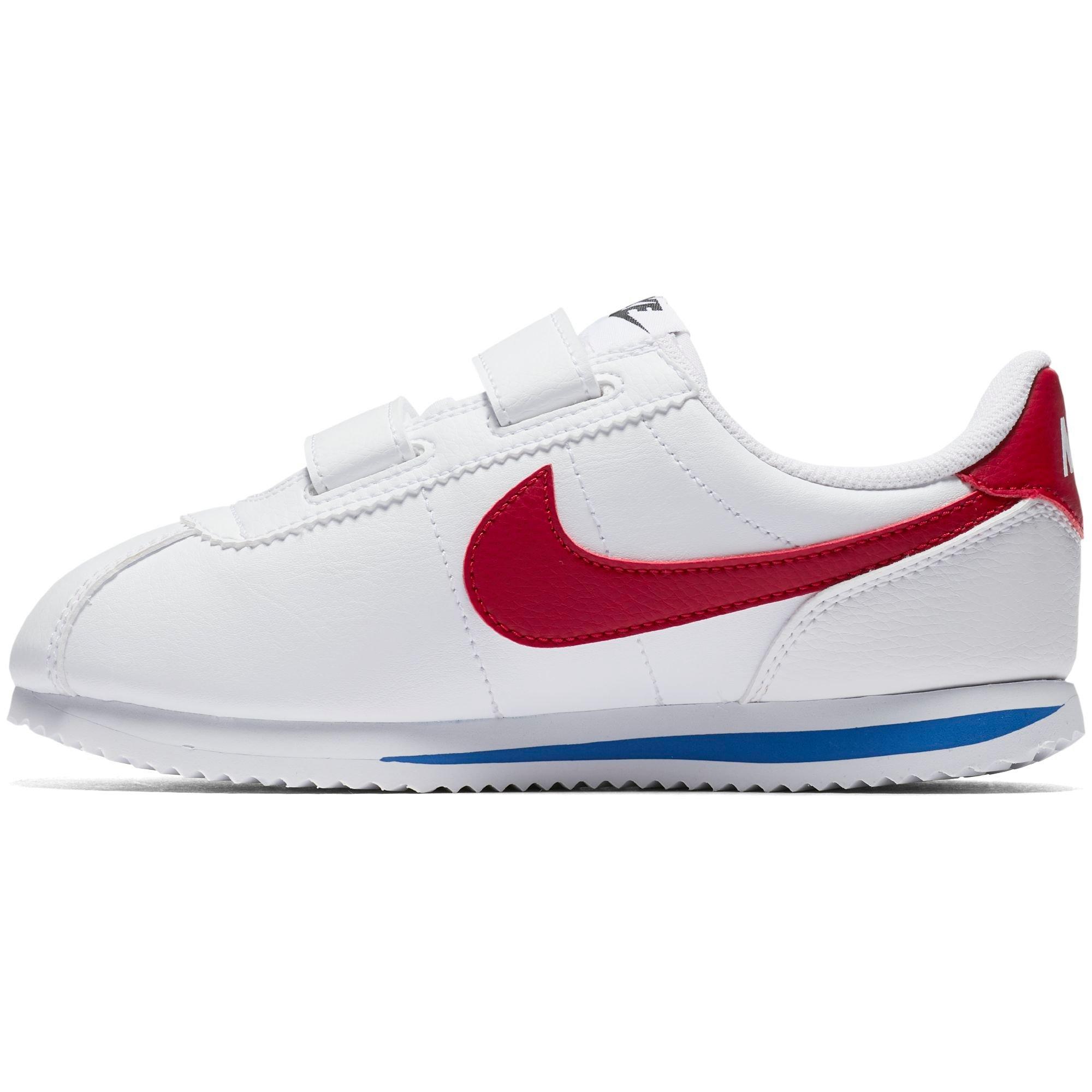 white blue and red cortez