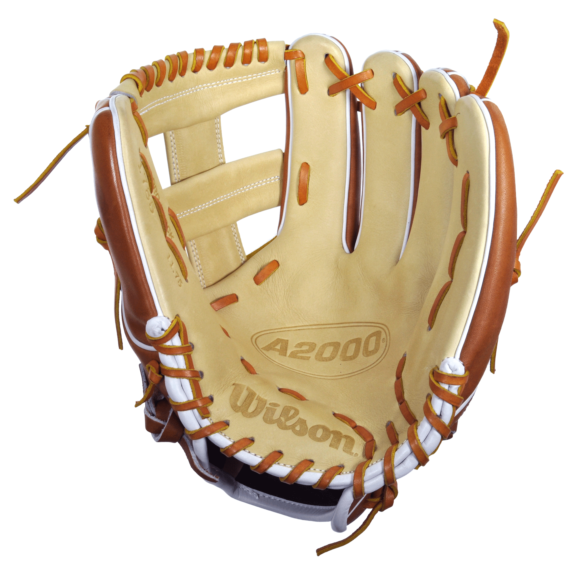 mizuno a2000 baseball glove