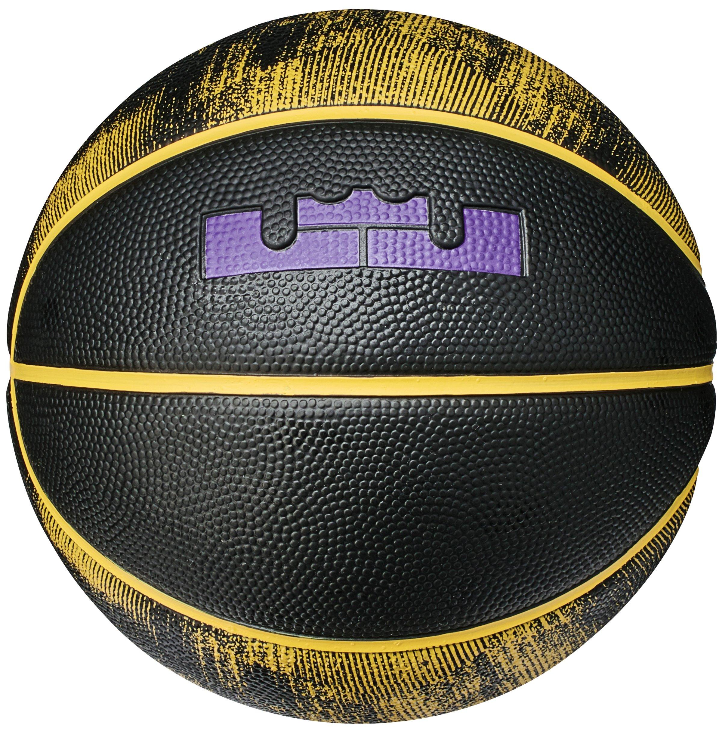 lebron james mini basketball