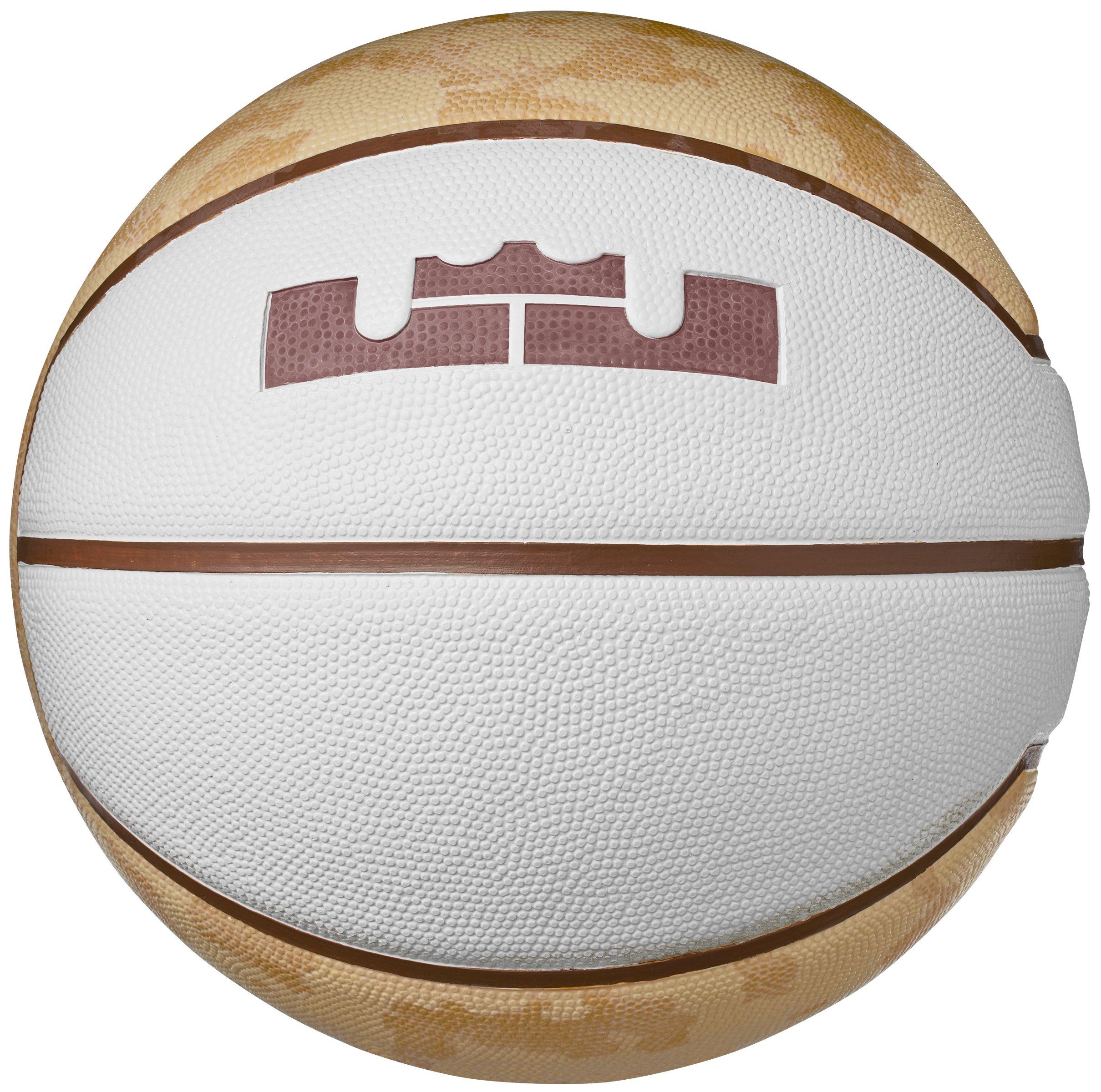 lebron mini basketball
