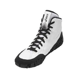 hibbett sports champion shoes