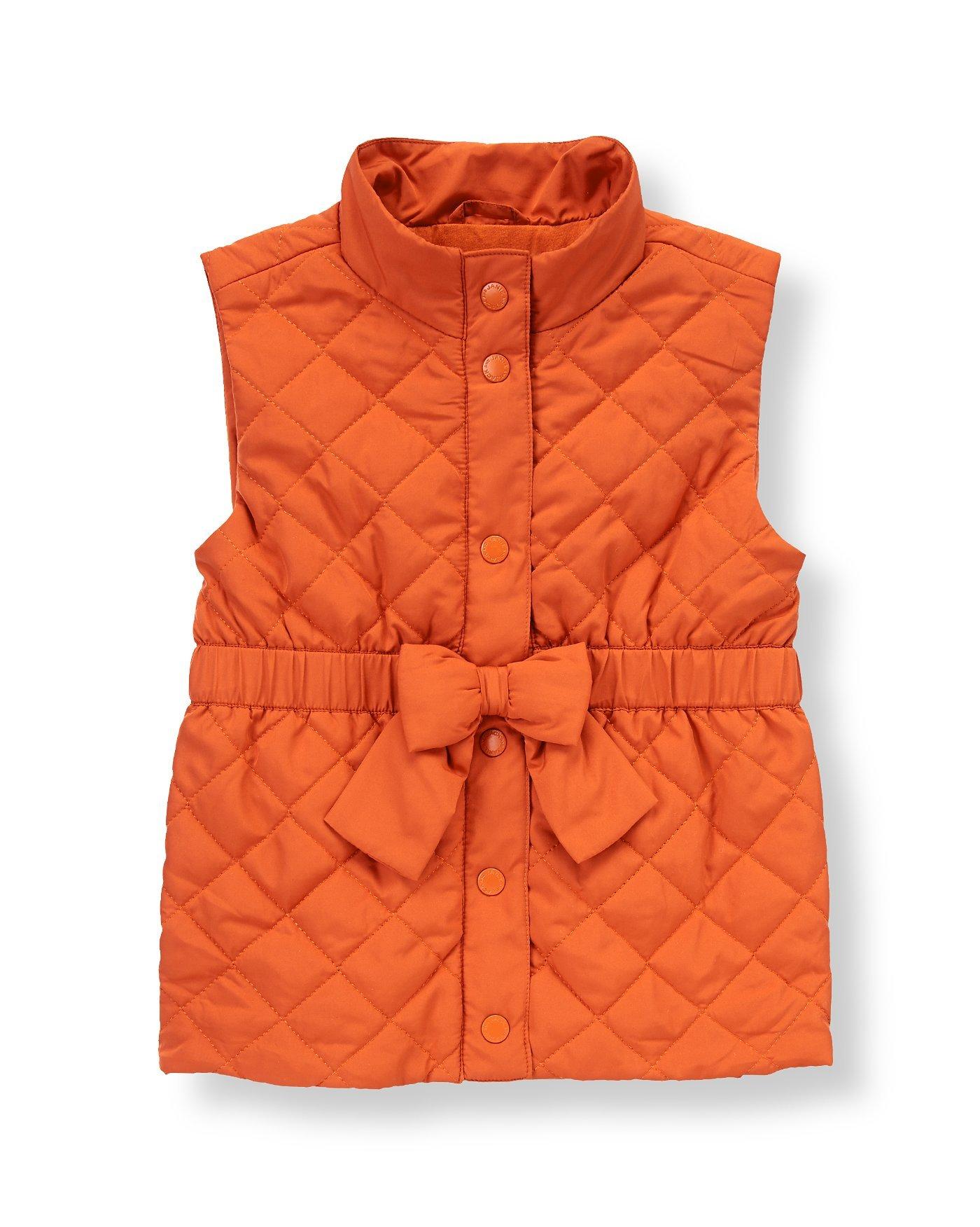 Quilted Vest image number 0