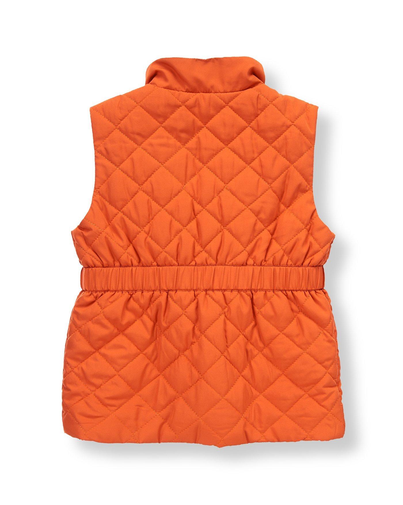 Quilted Vest image number 1