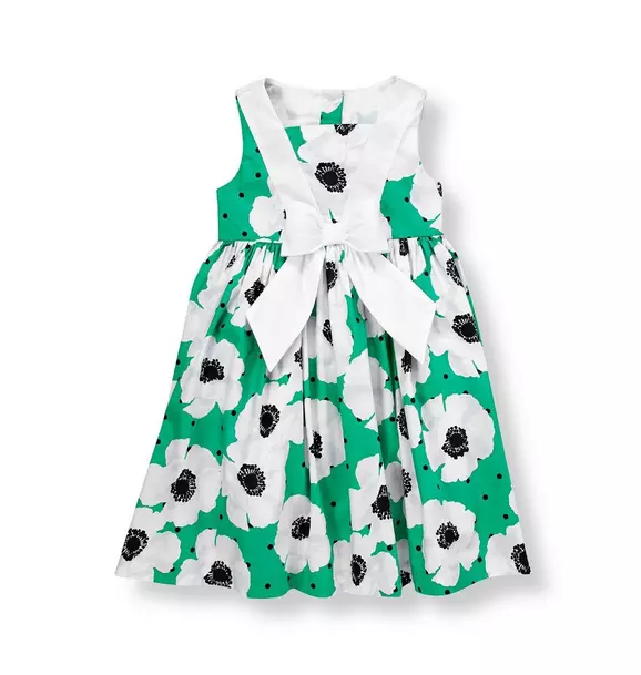 Poppy Poplin Dress image number 0