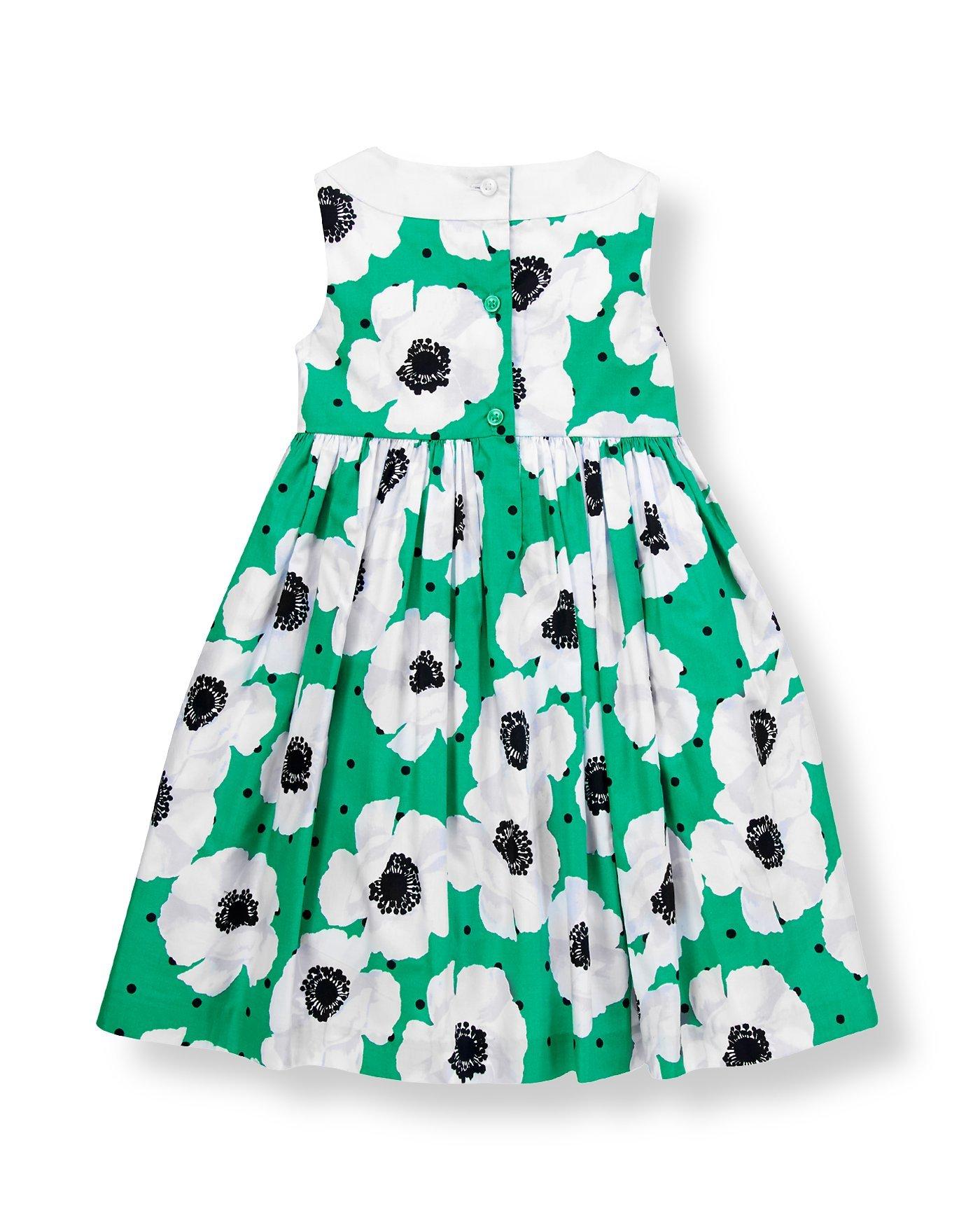 Poppy Poplin Dress image number 1