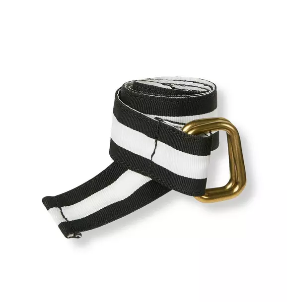 Striped Belt image number 0