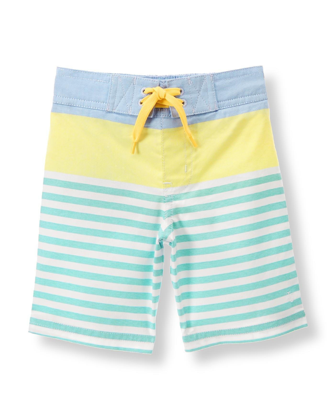 Striped Oxford Swim Trunk image number 0