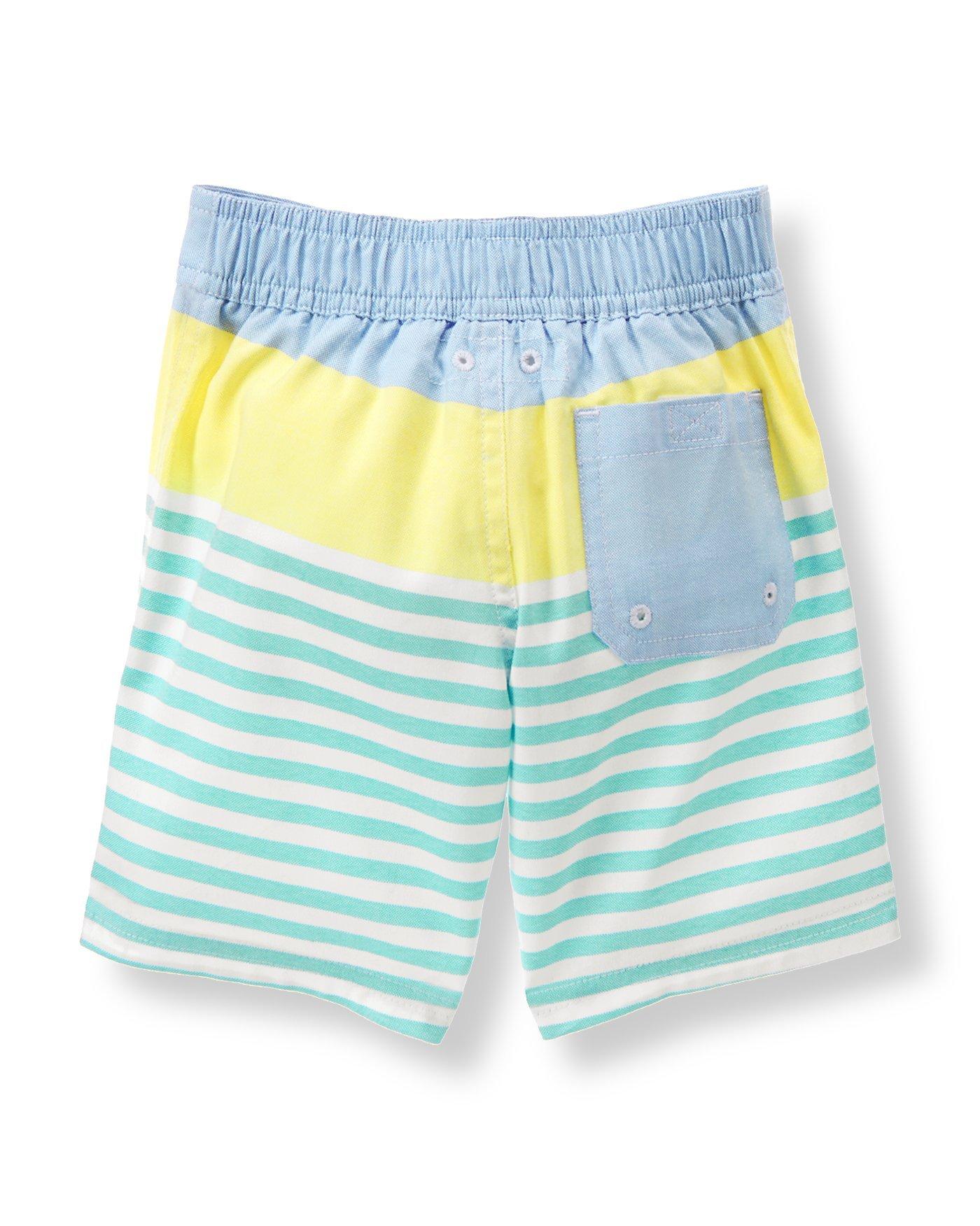 Striped Oxford Swim Trunk image number 1