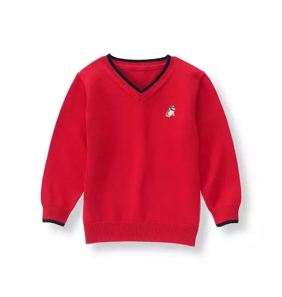 Tipped V-Neck Sweater image number 0