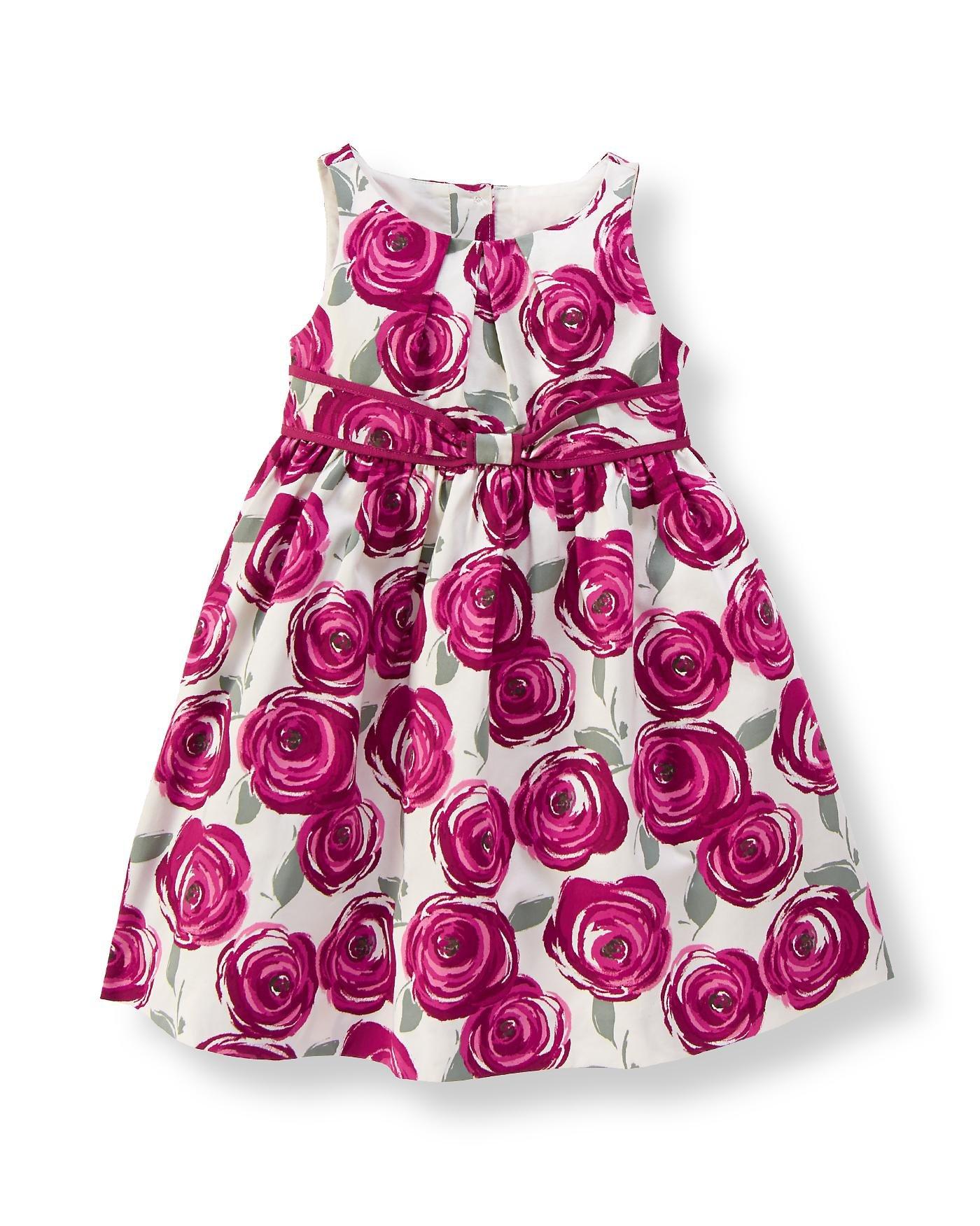 Rose Print Dress image number 0