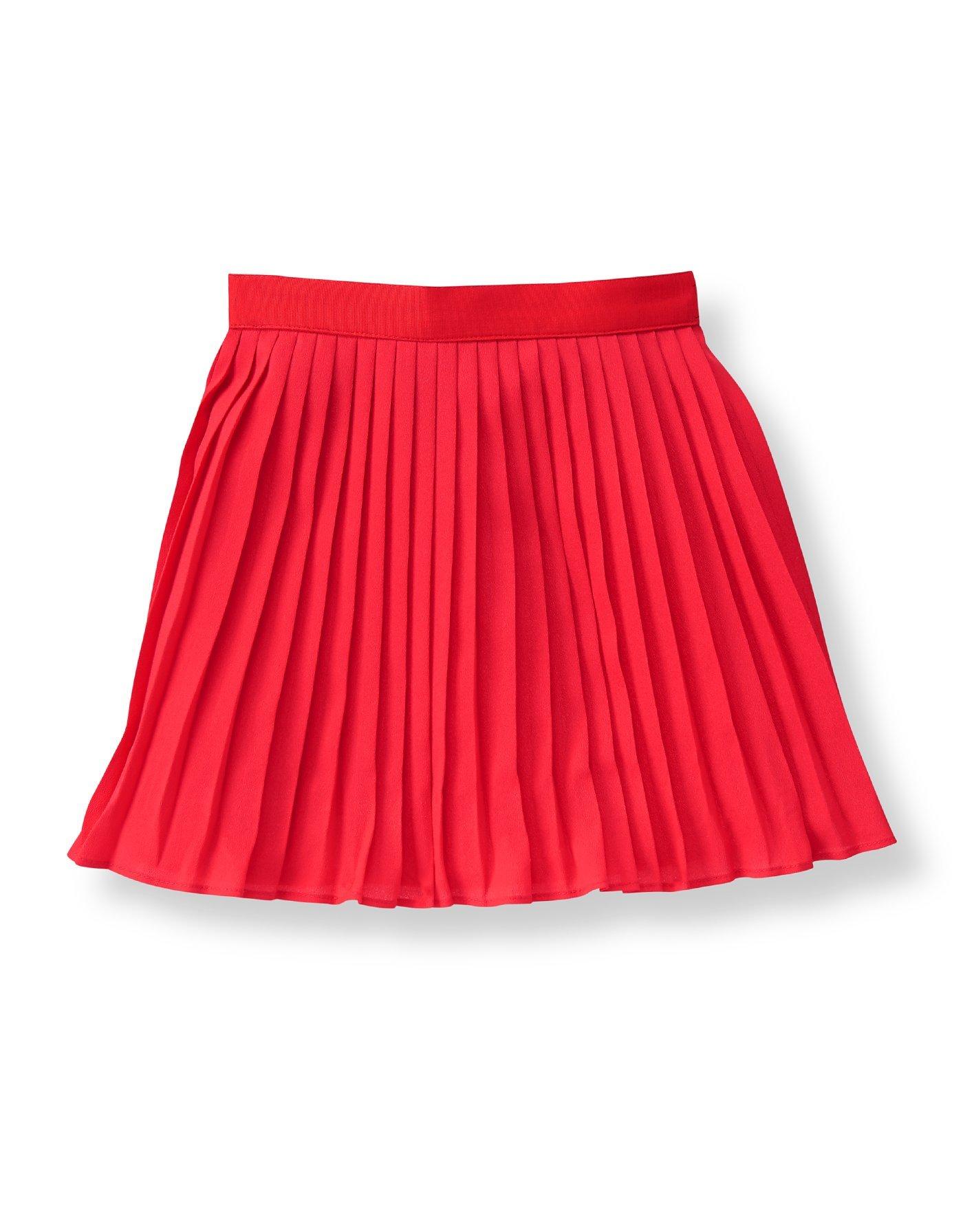 Pleated Chiffon Skirt image number 0
