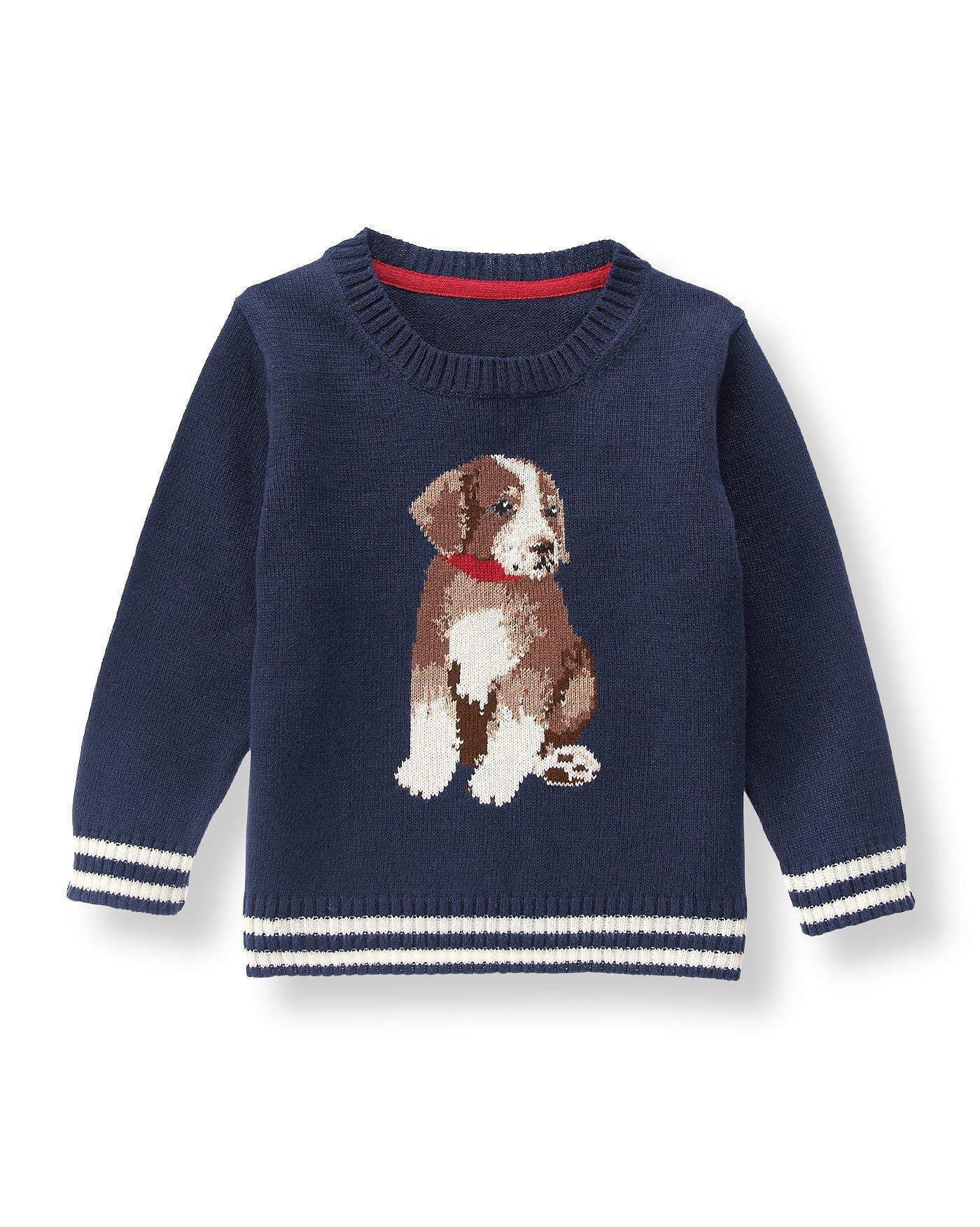 club monaco dog sweater