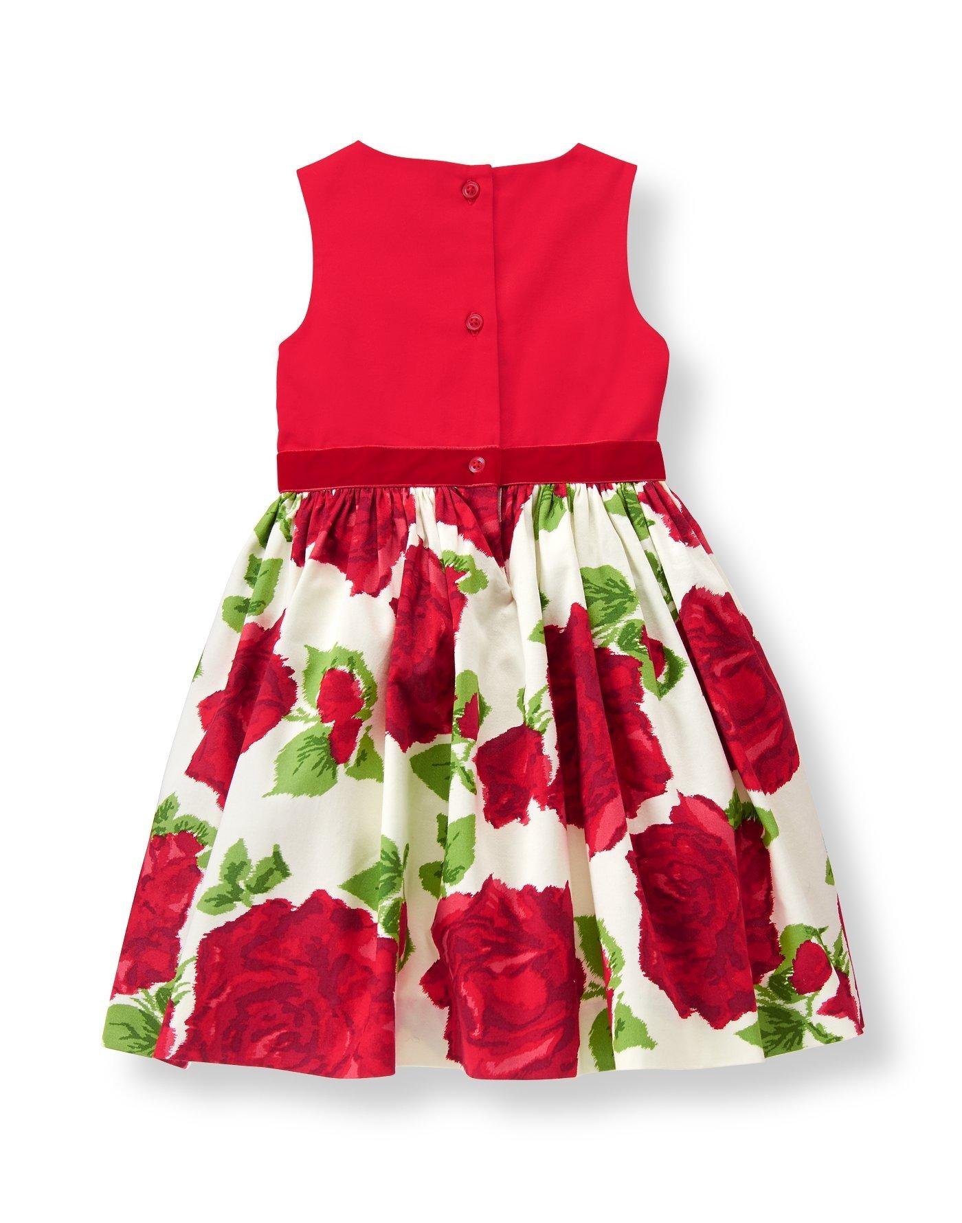 Rose Sateen Dress image number 1