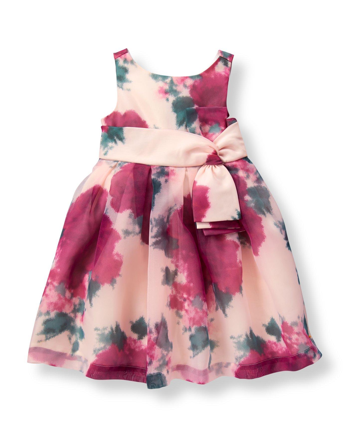 Floral Organza Dress image number 0