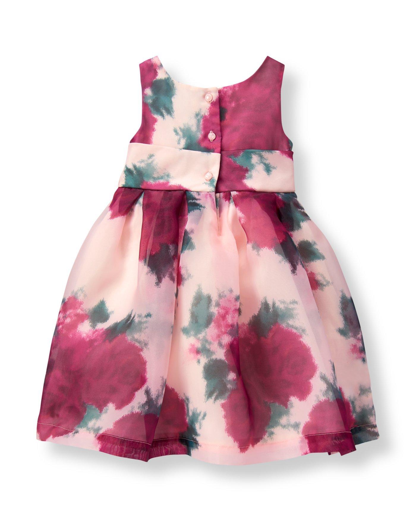 Floral Organza Dress image number 1