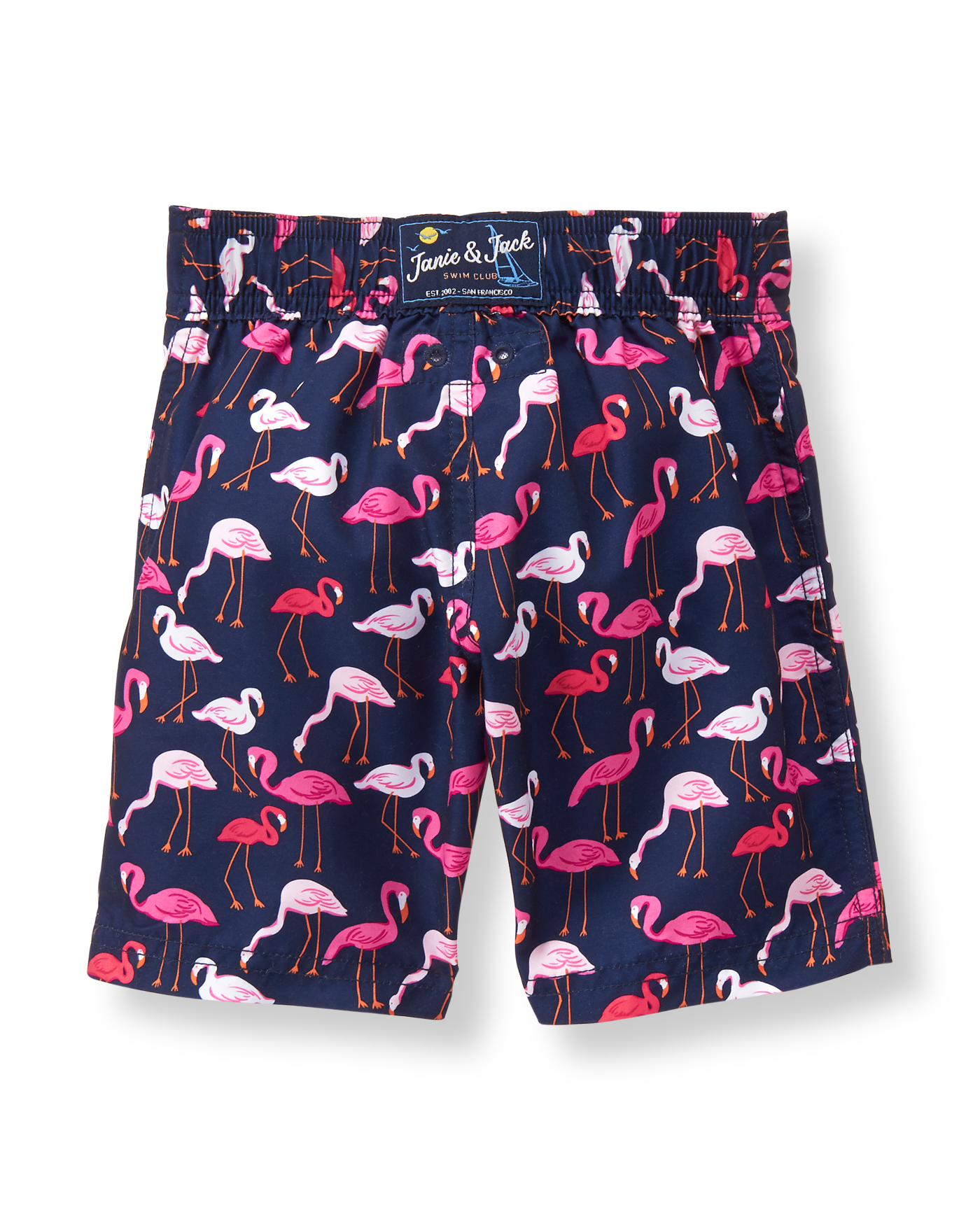 Flamingo Swim Trunk image number 1