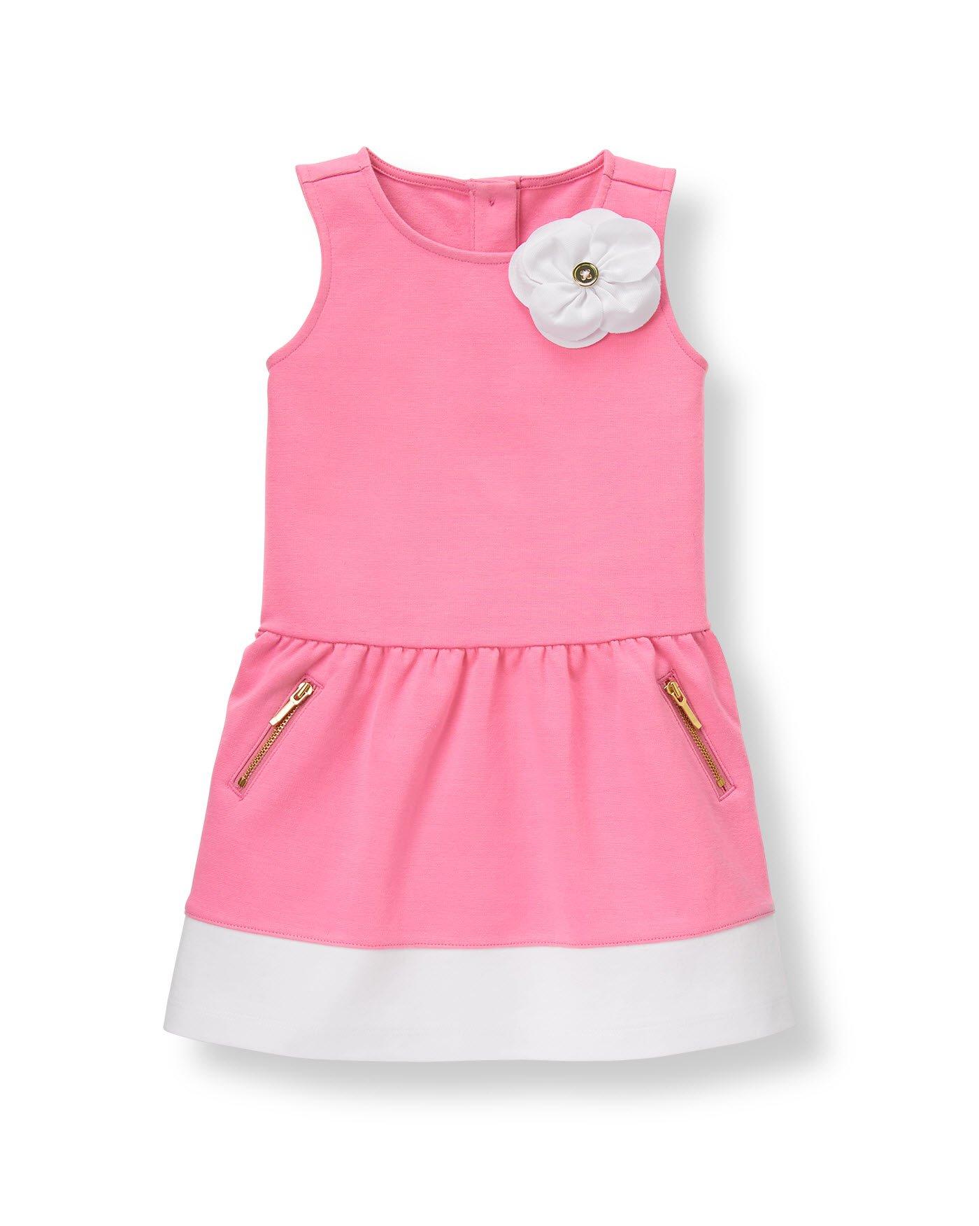 Colorblock Ponte Dress image number 0