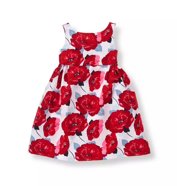Poppy Dress image number 0