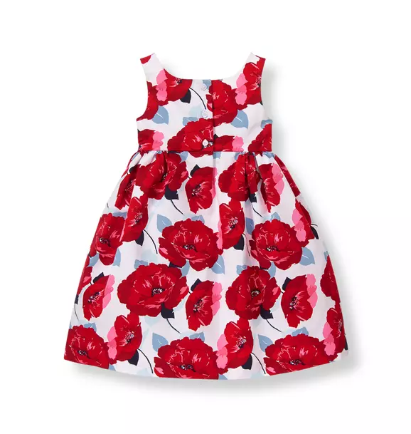 Poppy Dress image number 1
