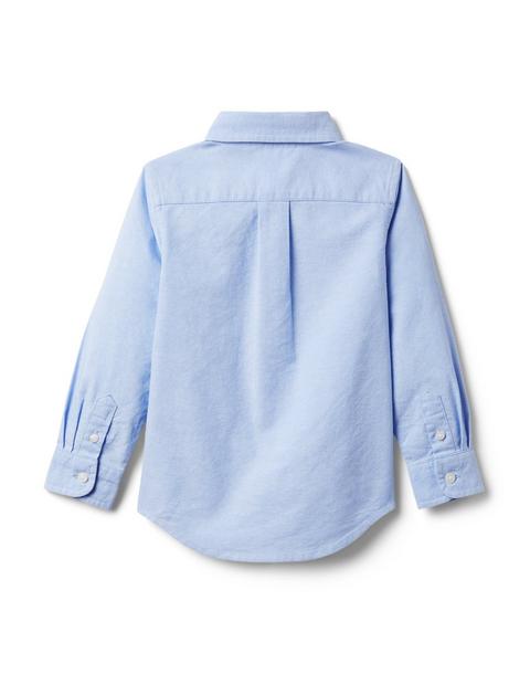 The Oxford Shirt