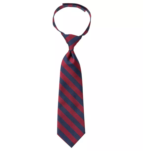 Striped Tie image number 0