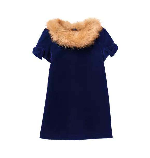 Faux Fur Velvet Dress image number 0