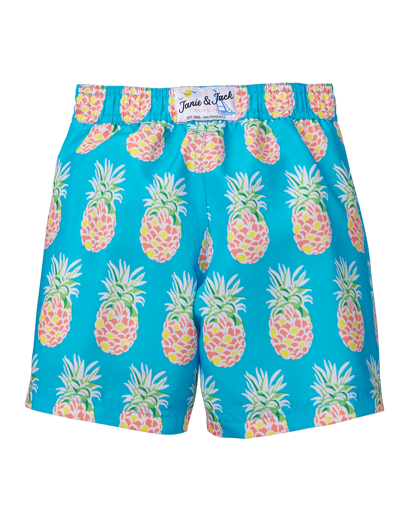 Pineapple Swim Trunk image number 1