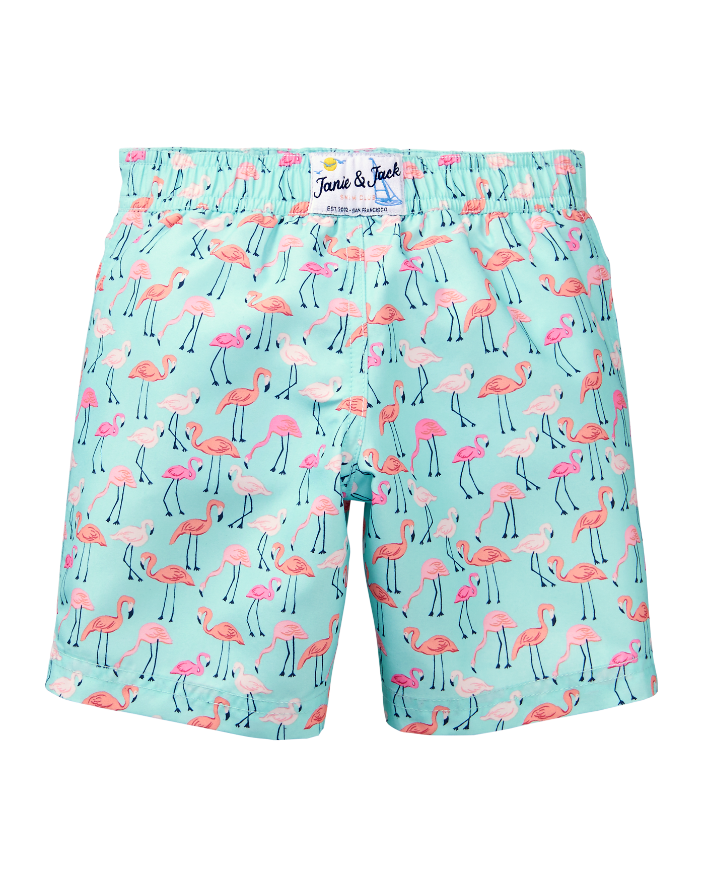 baby boy flamingo swim trunks