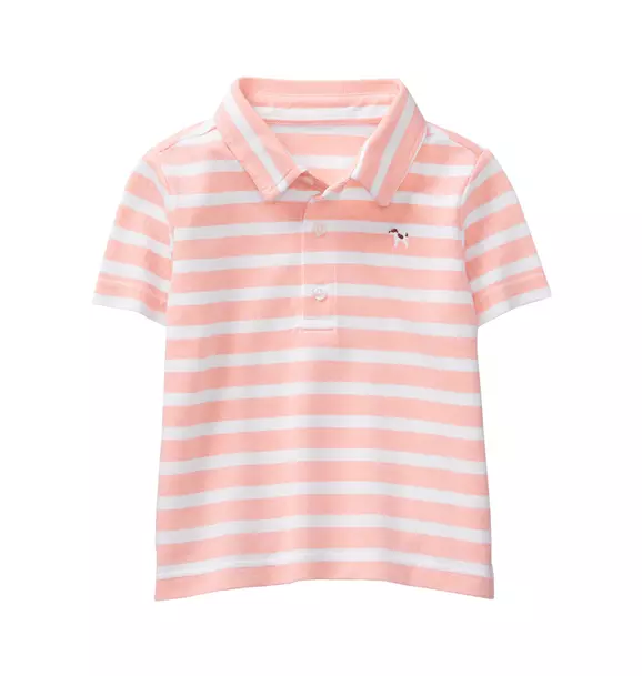 Embroidered Striped Polo image number 0