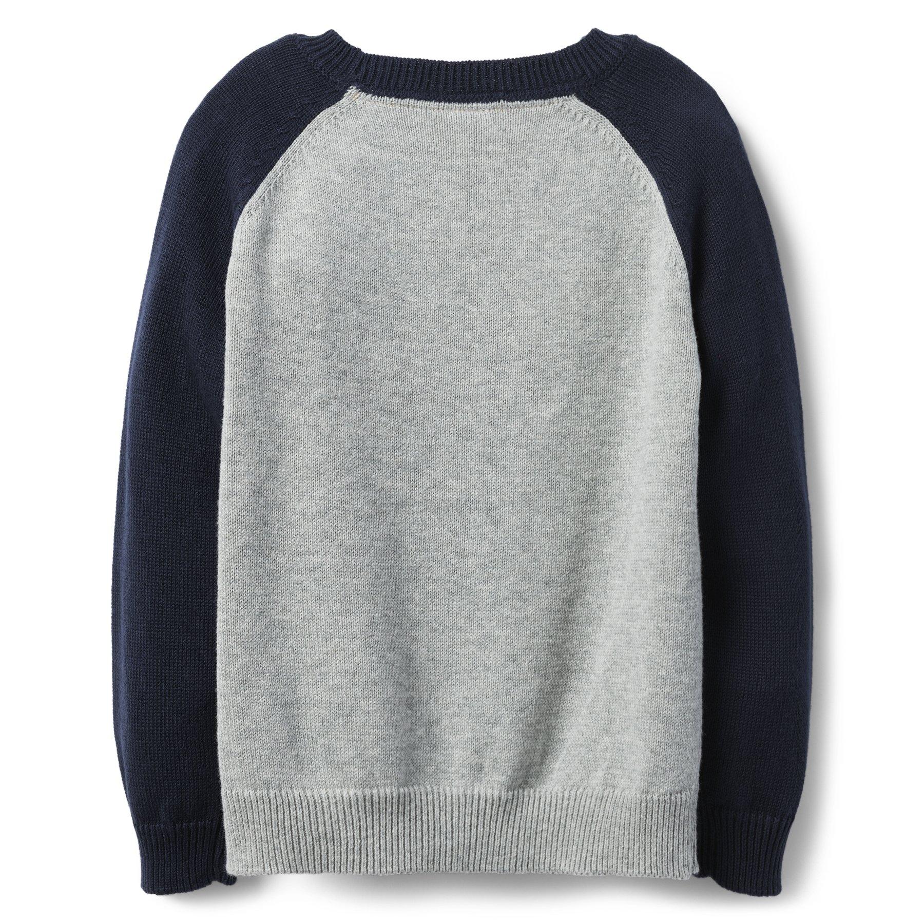 Raglan Dog Sweater image number 1