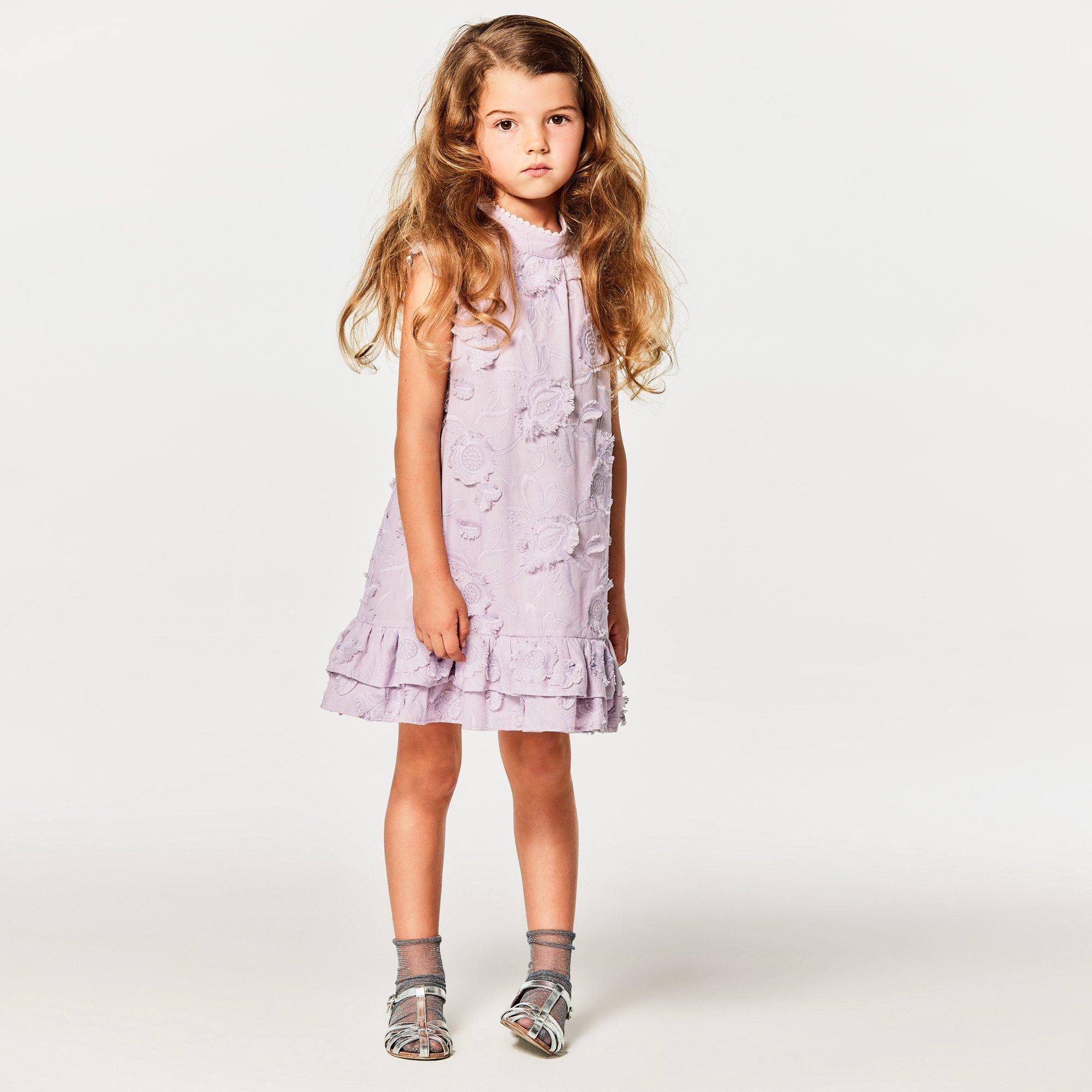 Embroidered Floral Dress image number 3