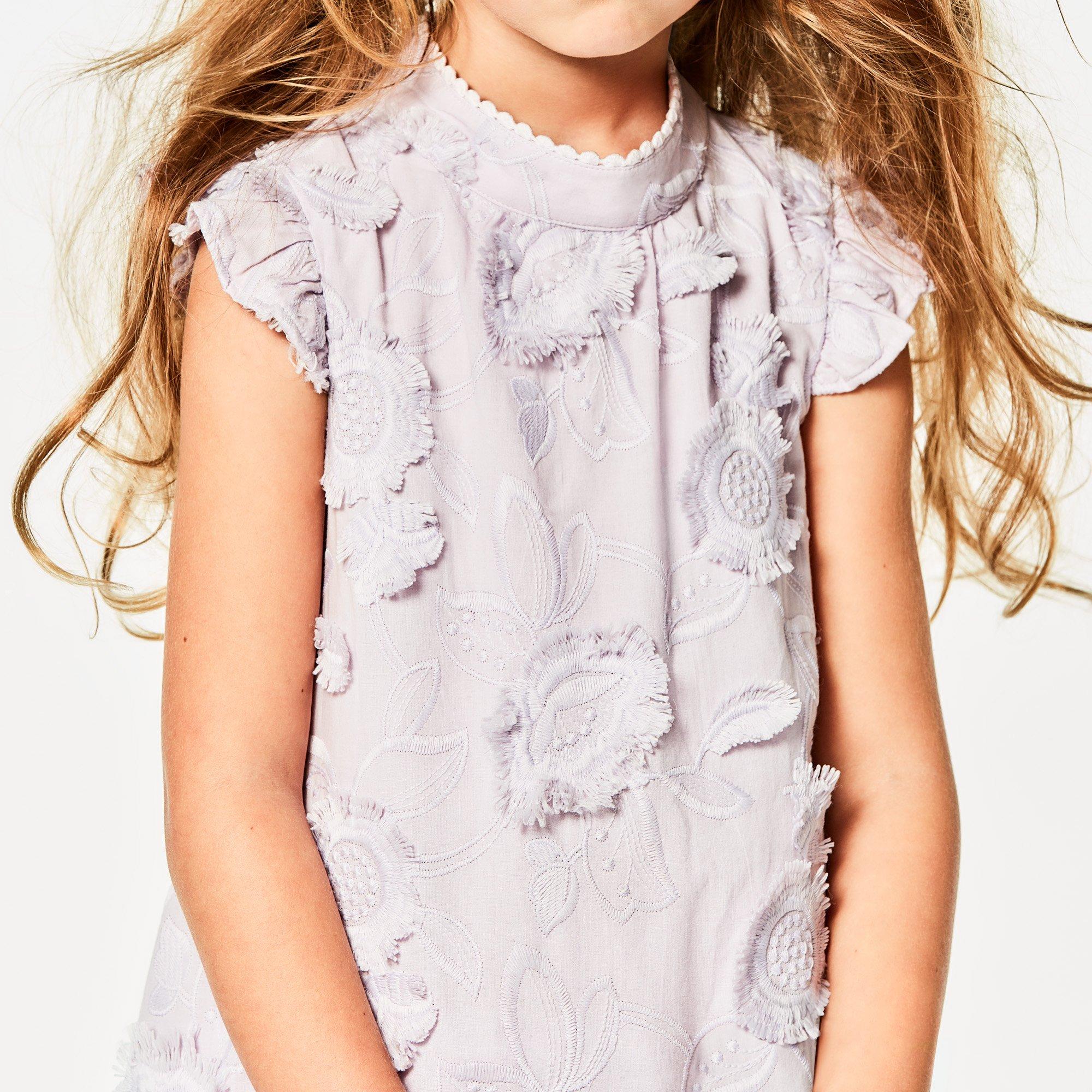 Embroidered Floral Dress image number 4