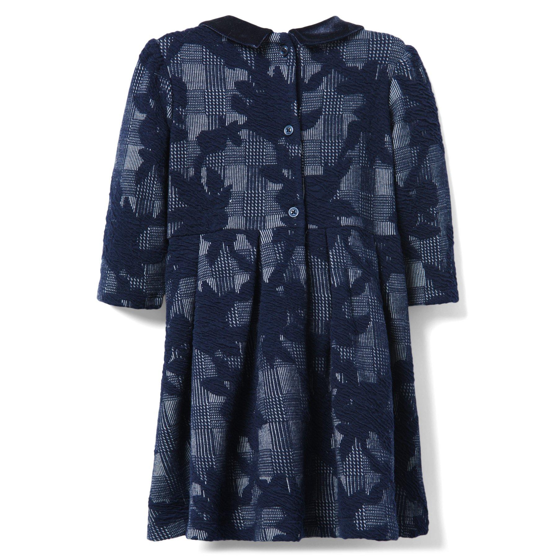 Printed Jacquard Dress image number 1