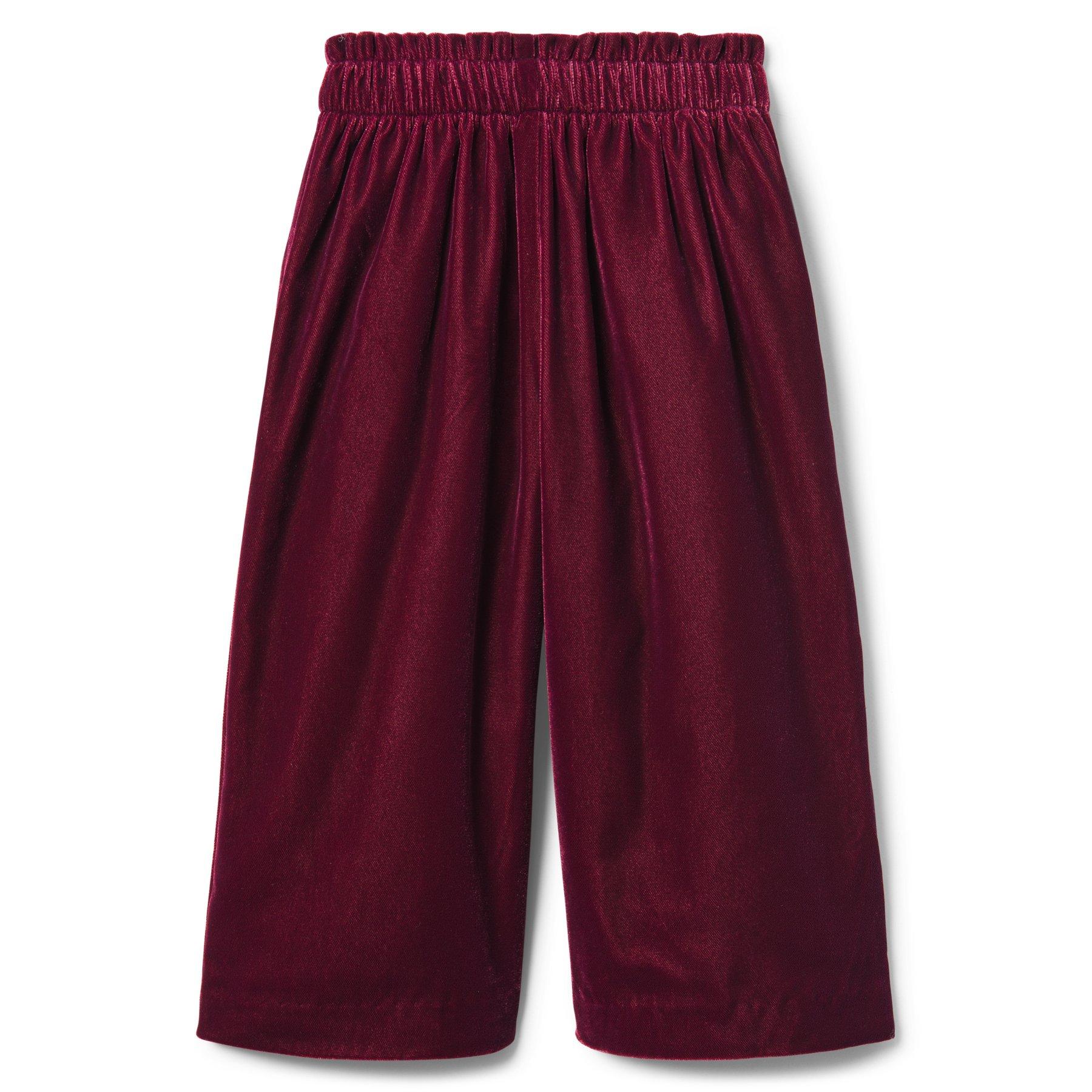 Velvet Wide-Leg Pant  image number 0