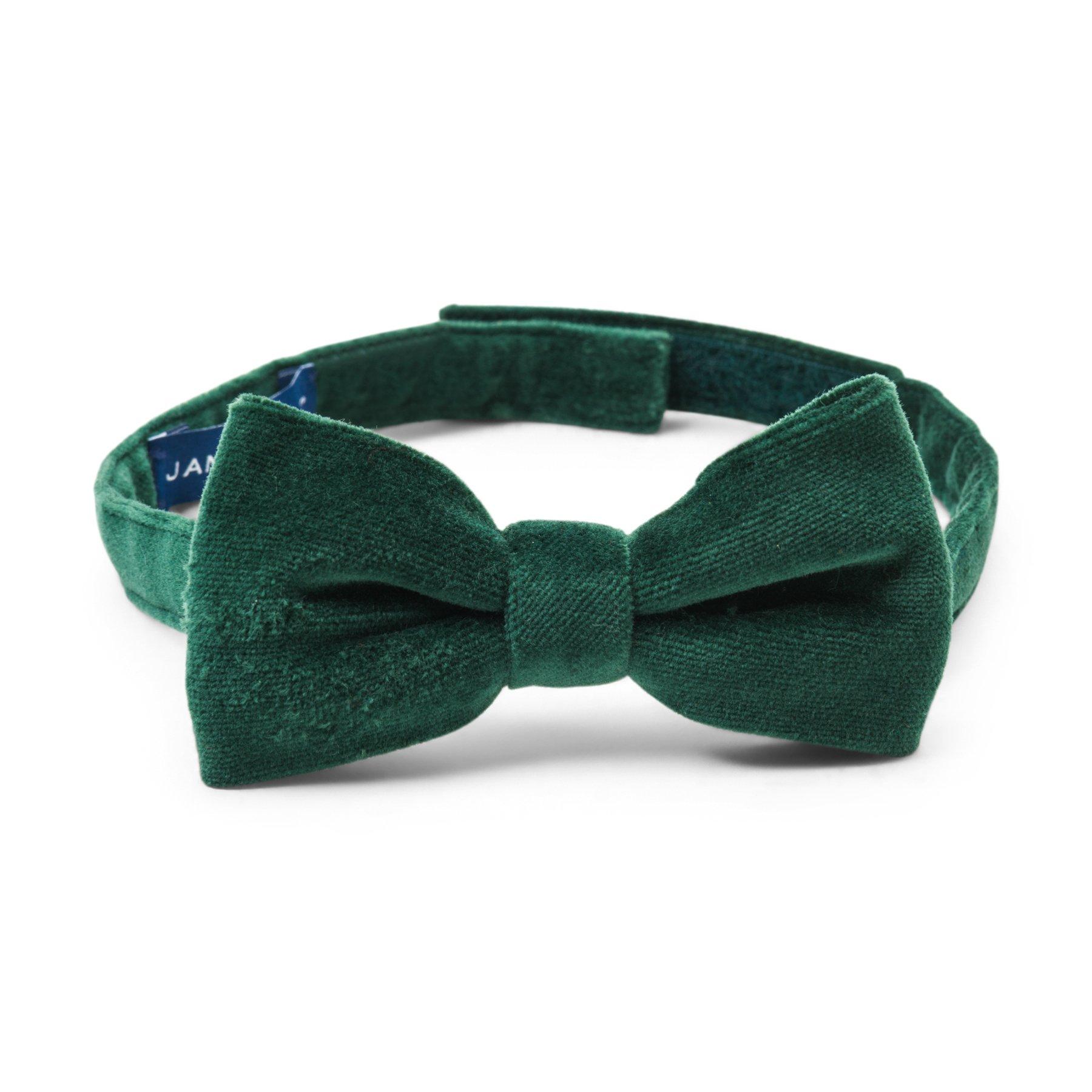 Velveteen Bowtie