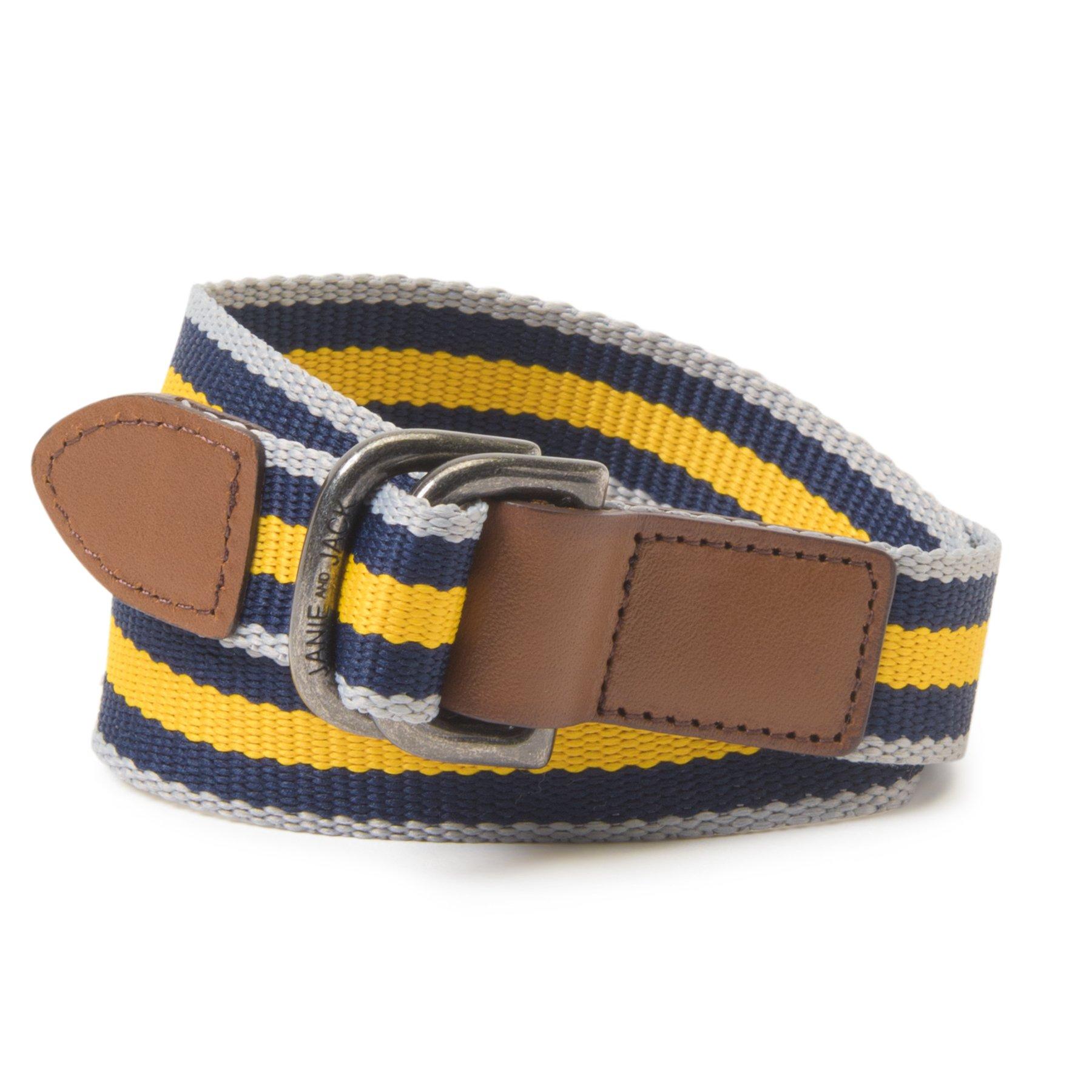 Striped Belt  image number 0