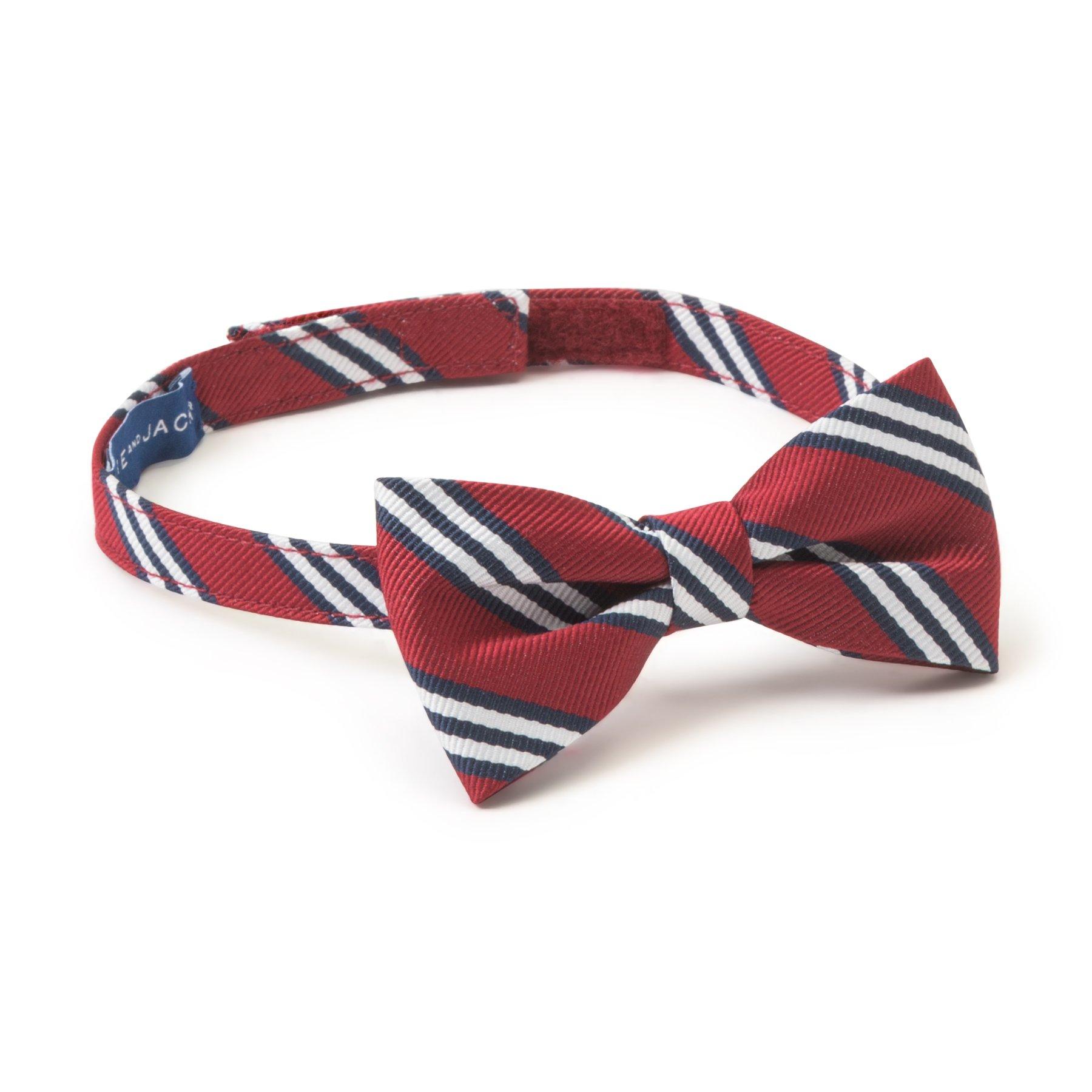 Striped Bowtie image number 0