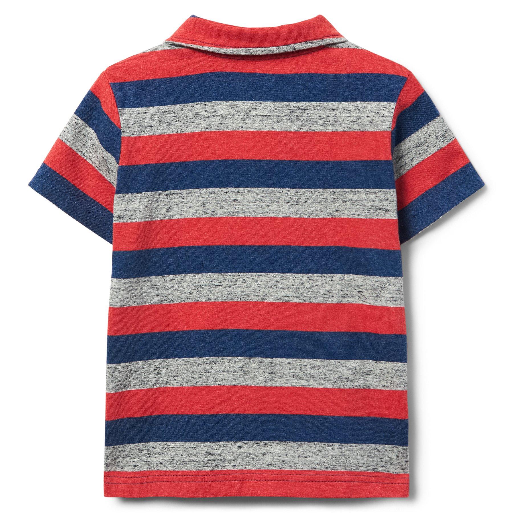 Striped Polo image number 1