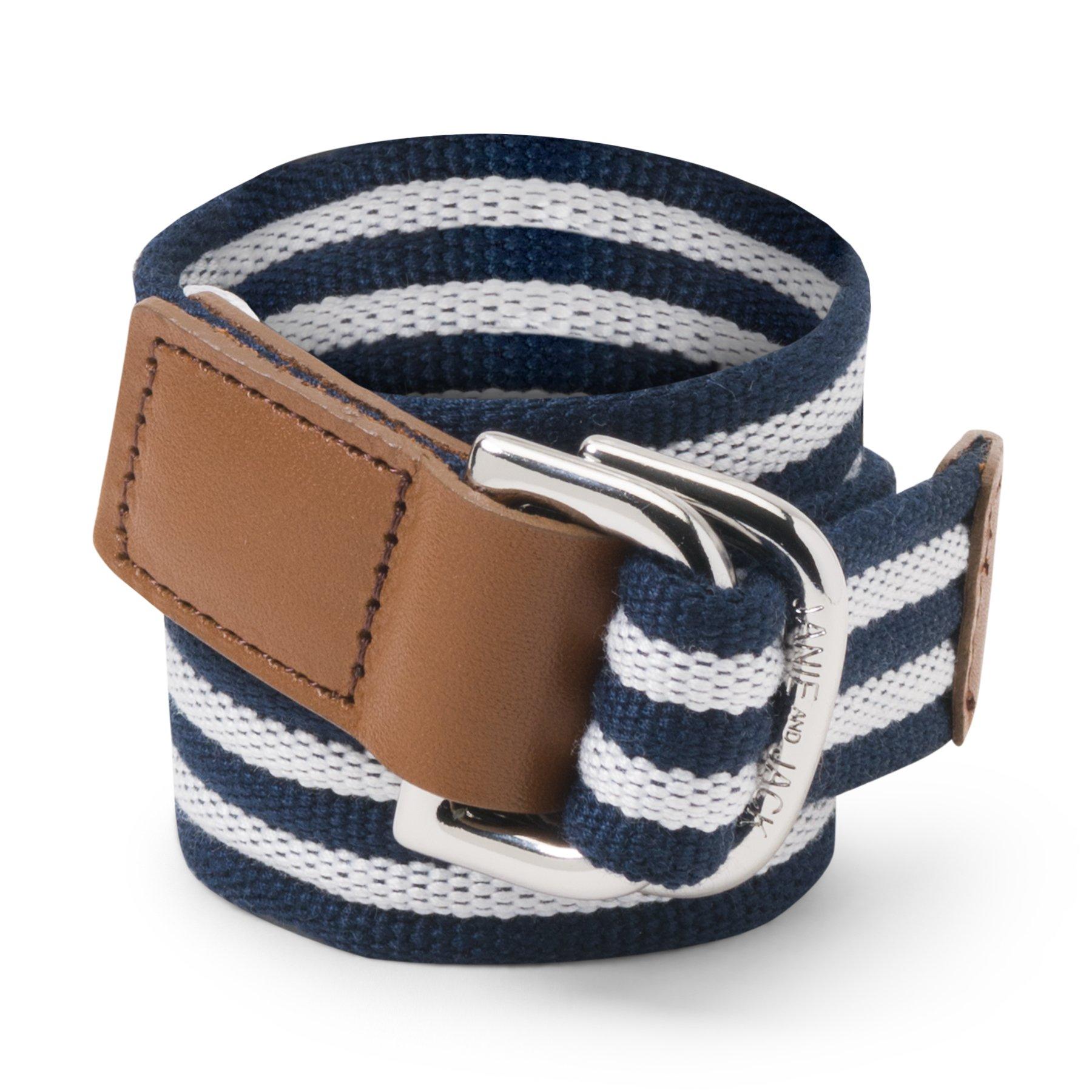 Striped Belt image number 0