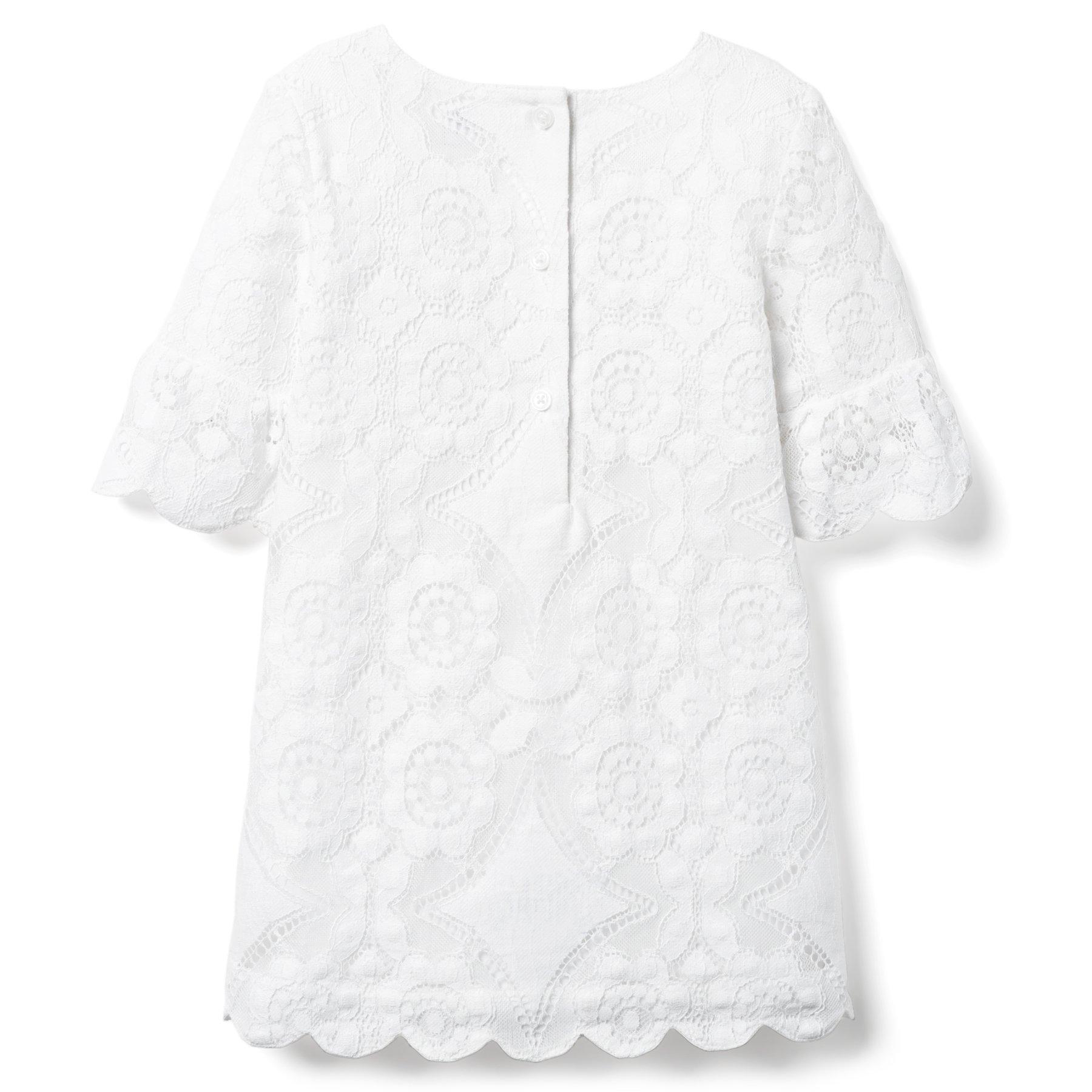 AERIN Lace Shift Dress  image number 1