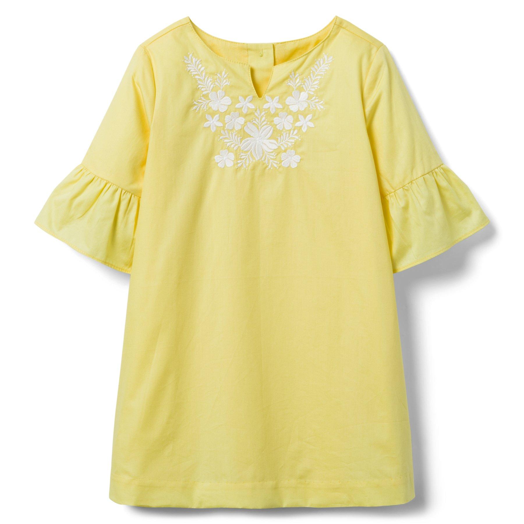 AERIN Embroidered Poplin Shift Dress  image number 0