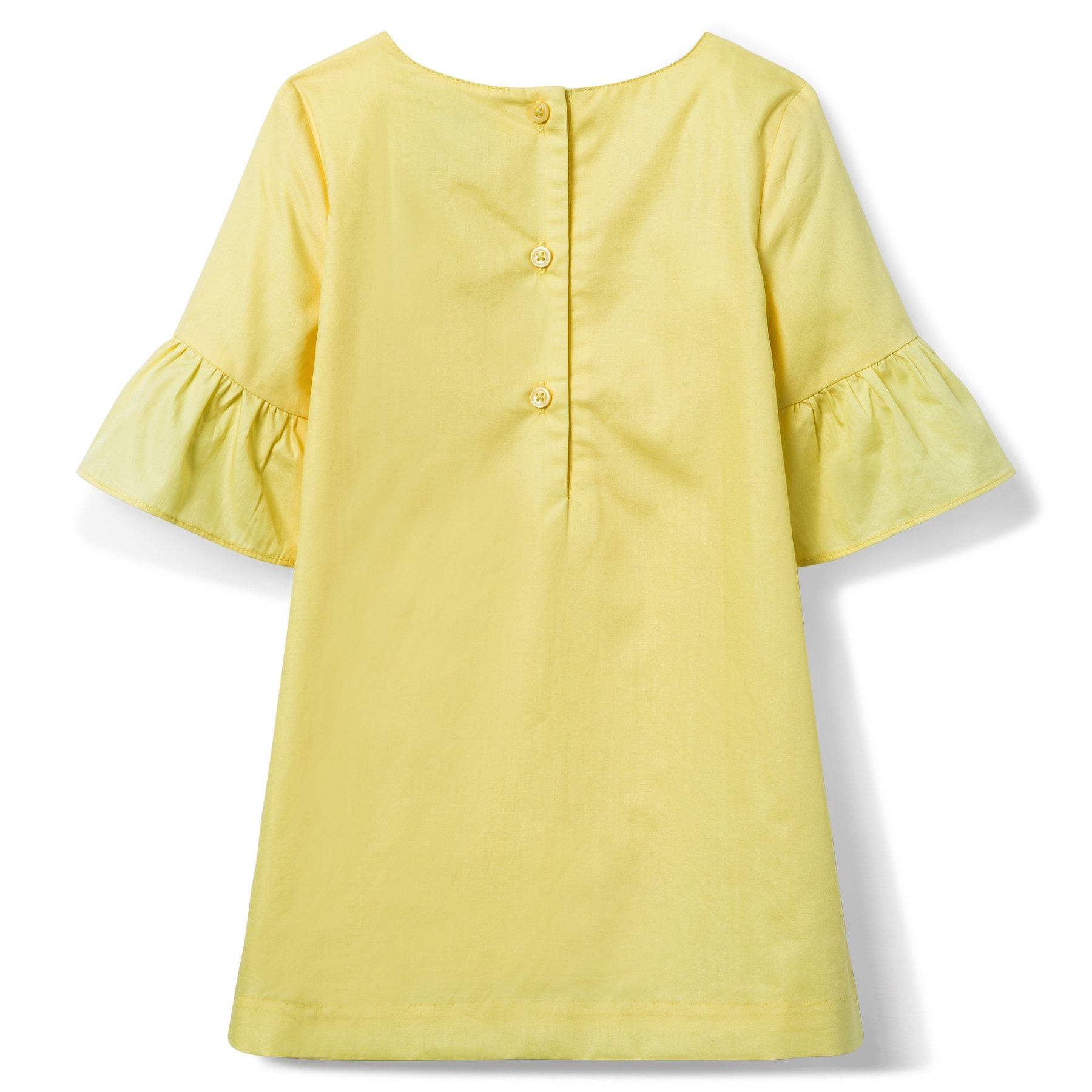 AERIN Embroidered Poplin Shift Dress  image number 1