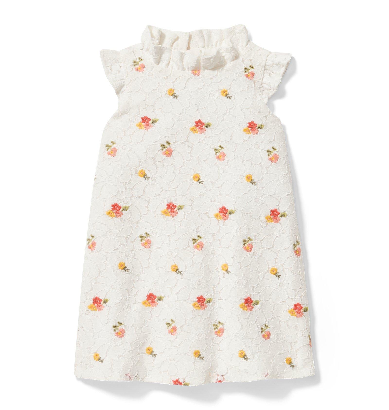 Embroidered Lace Dress image number 0