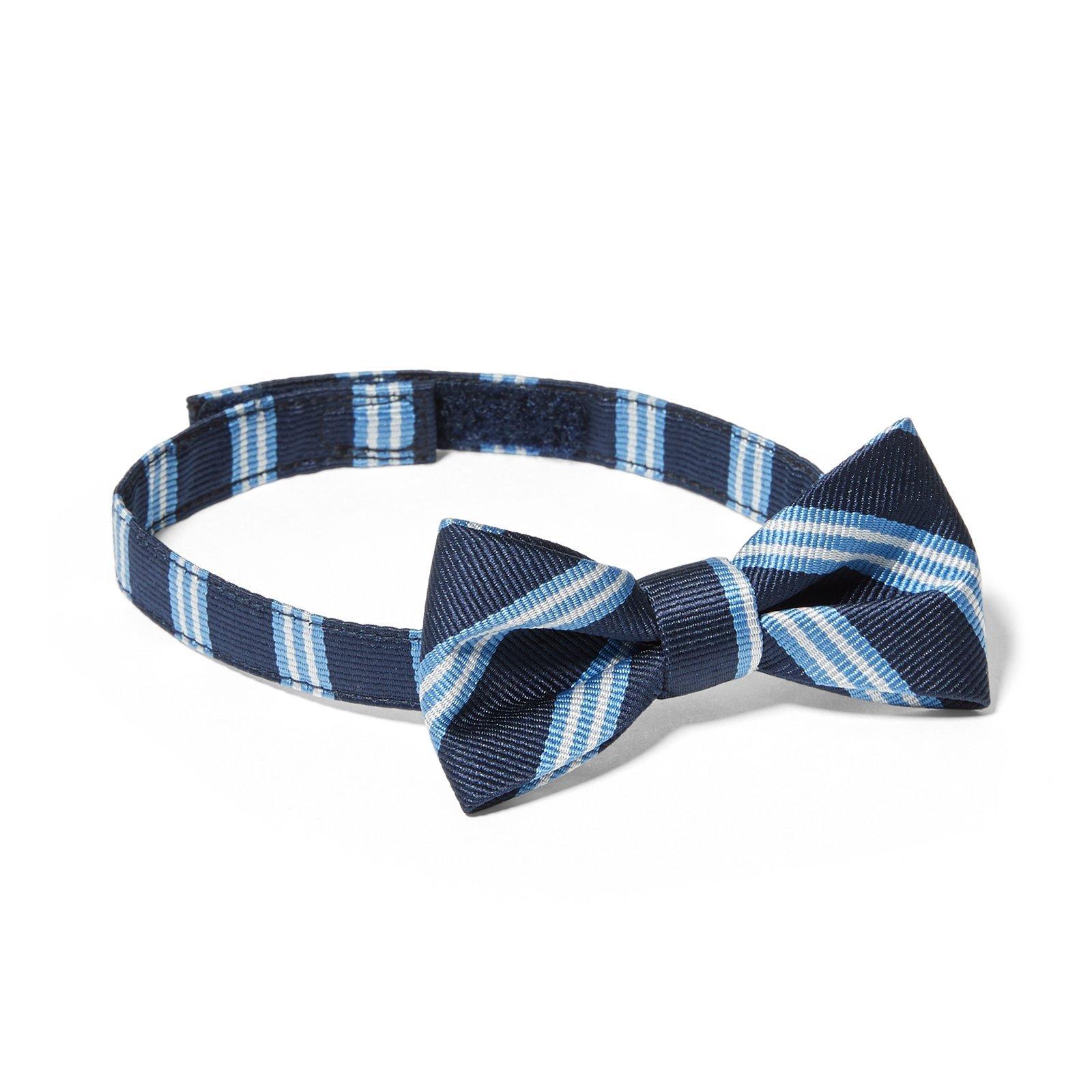 Striped Bowtie image number 0