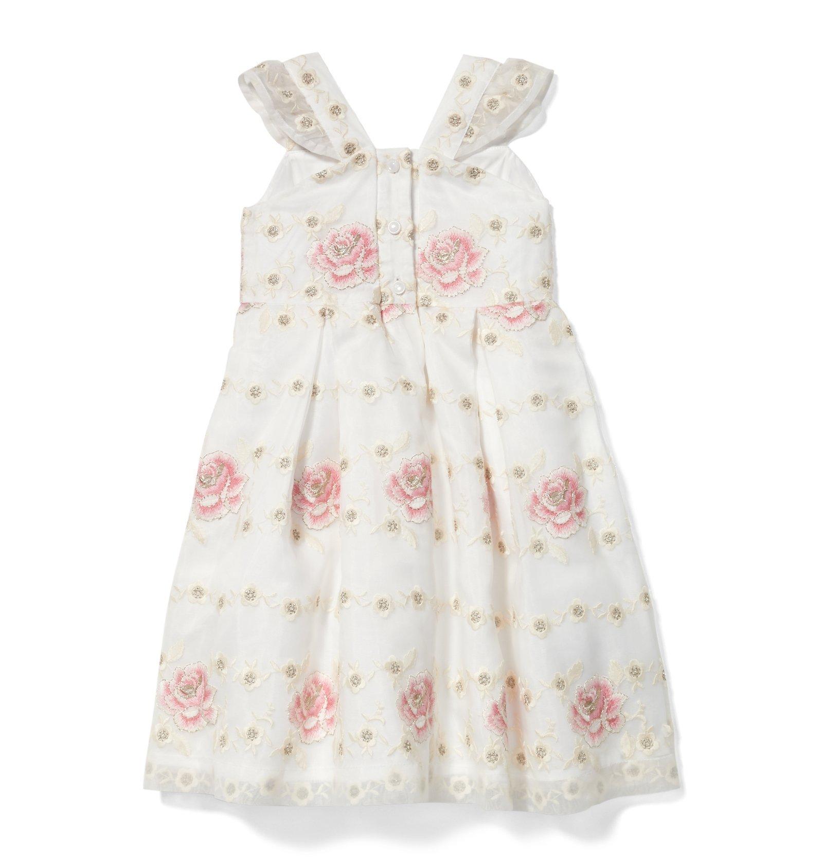 Rose Organza Dress  image number 1
