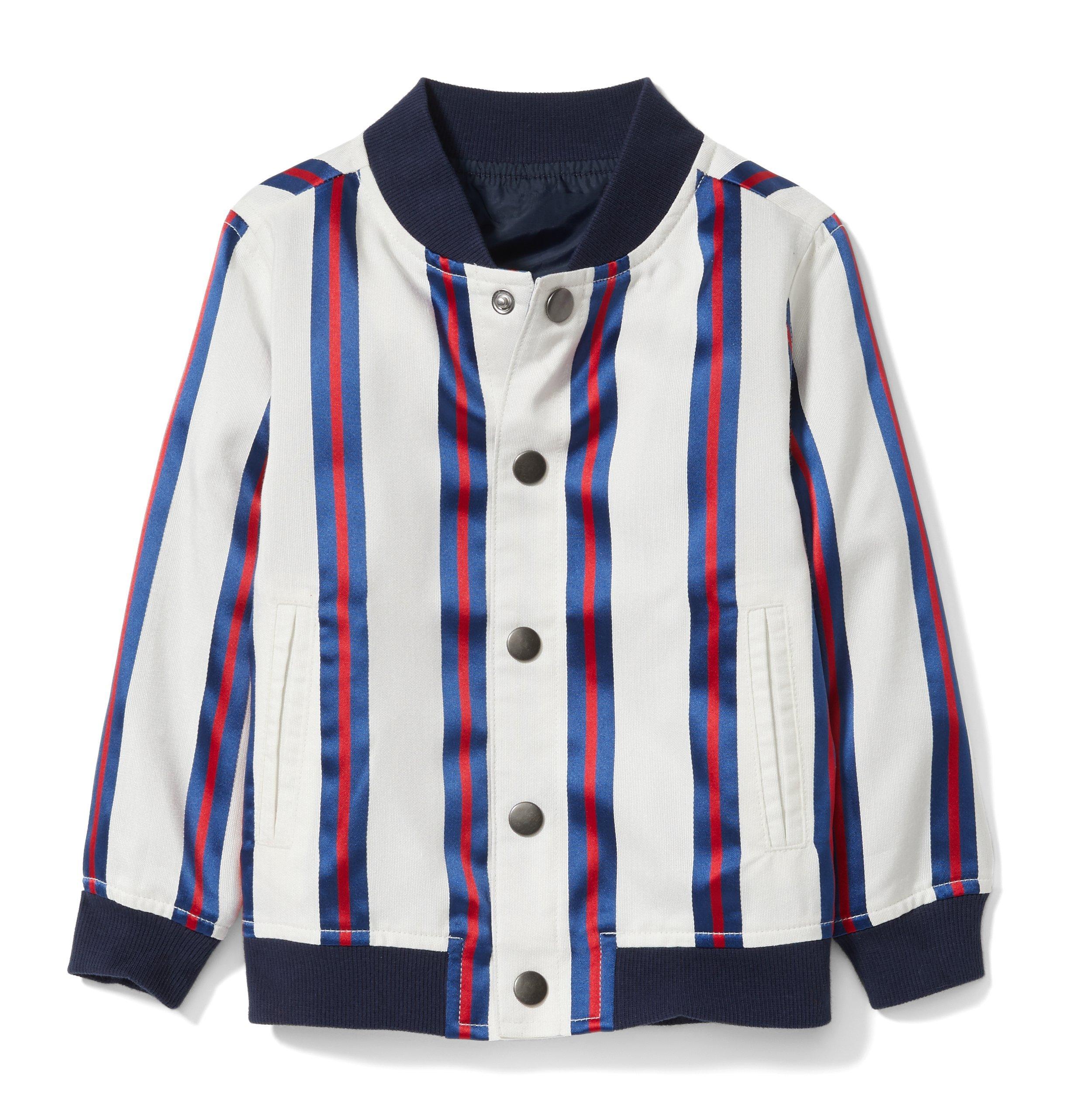 Striped Bomber Jacket  image number 0