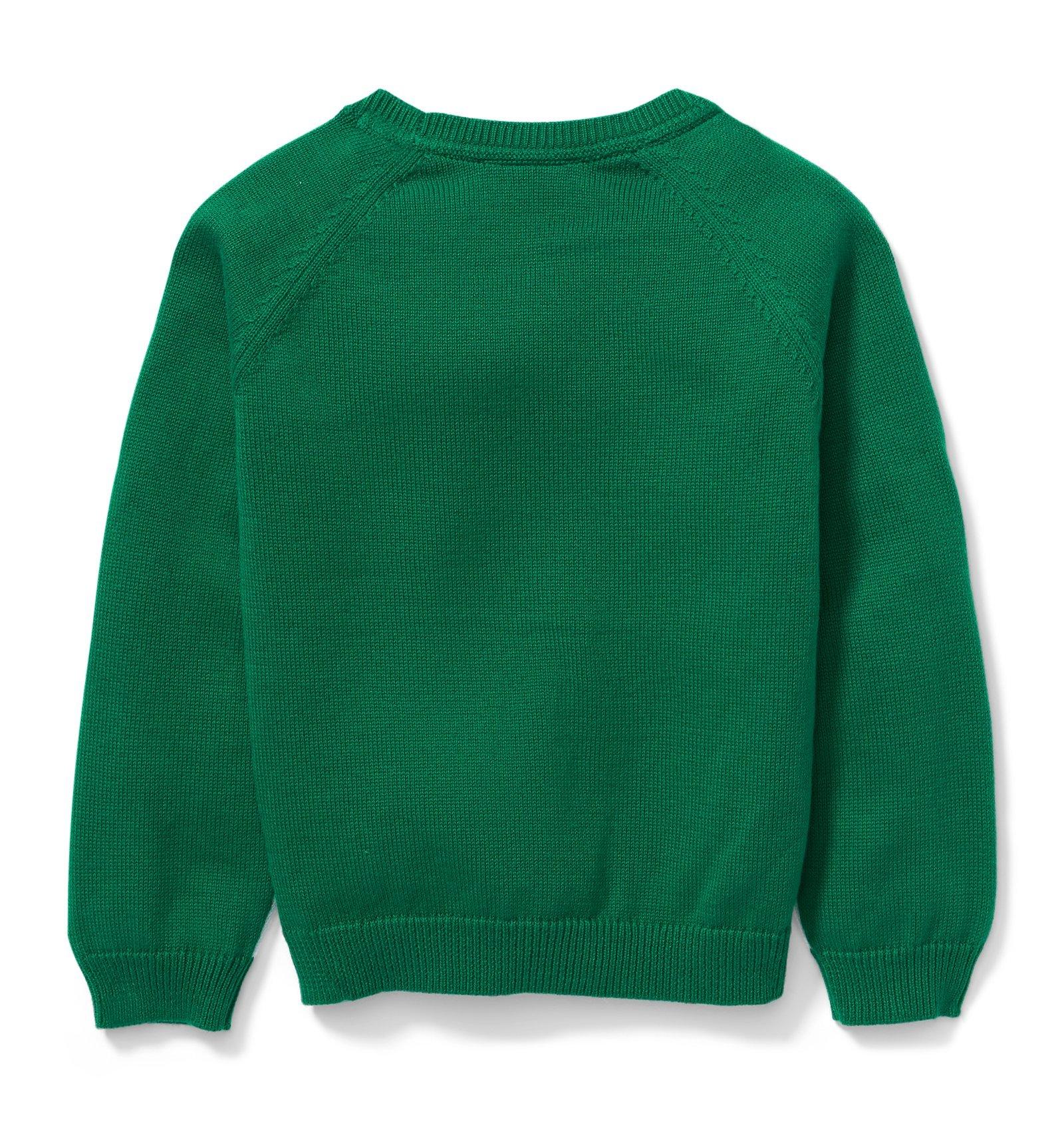 Raglan Mountain Pullover  image number 1