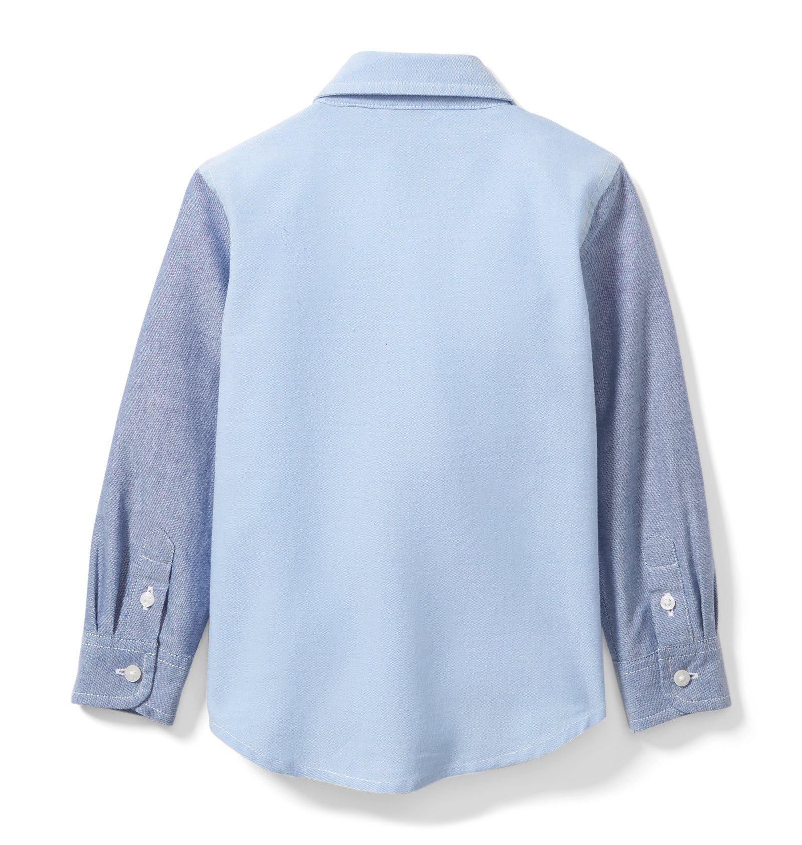 Colorblocked Oxford Shirt image number 1
