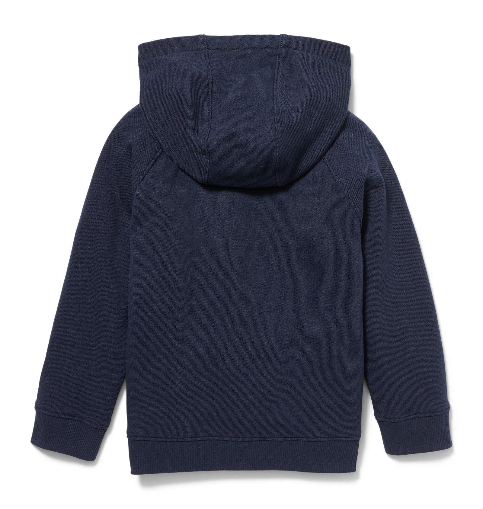 Colorblocked Hooded Sweatshirt  image number 1