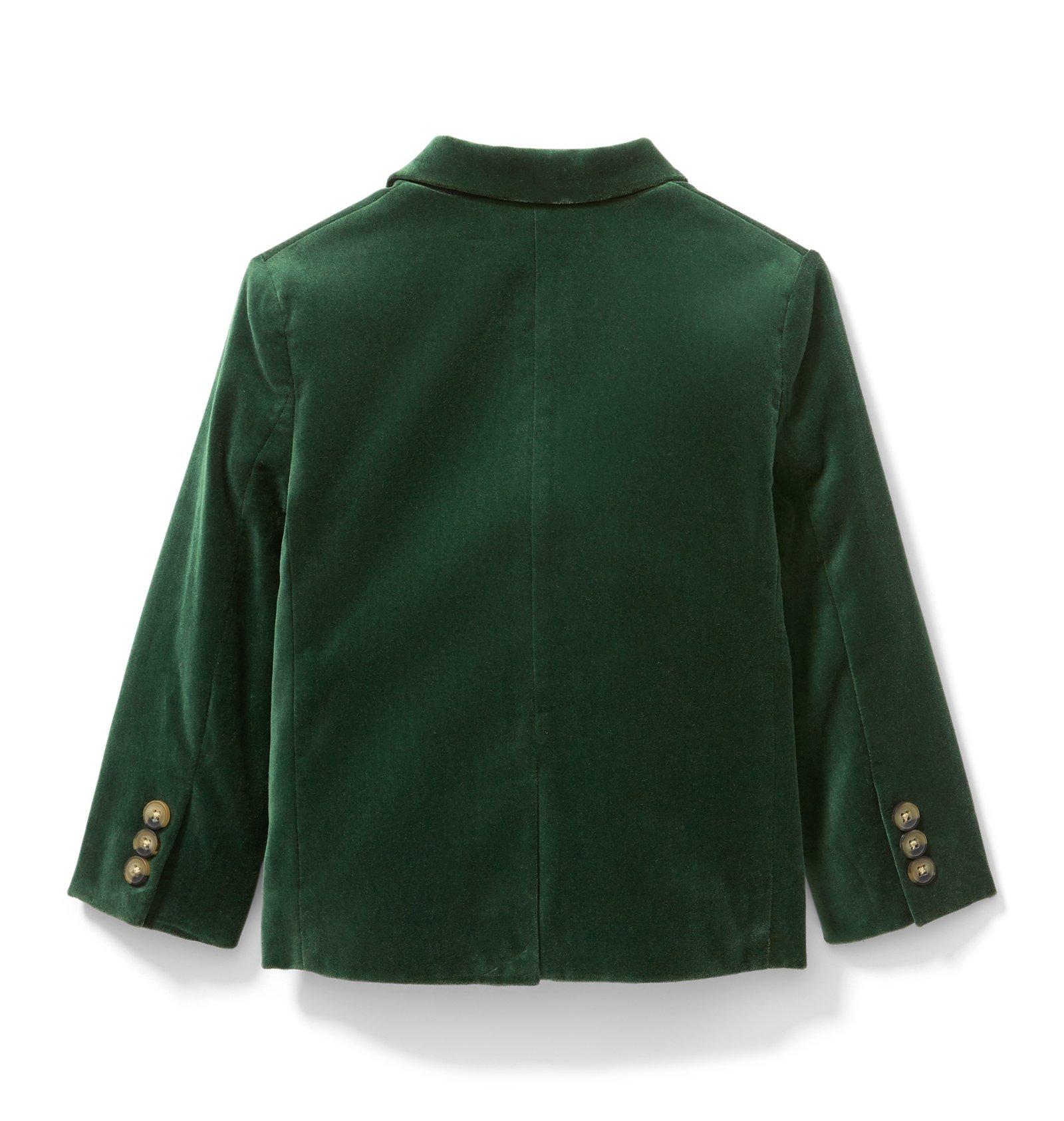 Velvet Blazer  image number 2